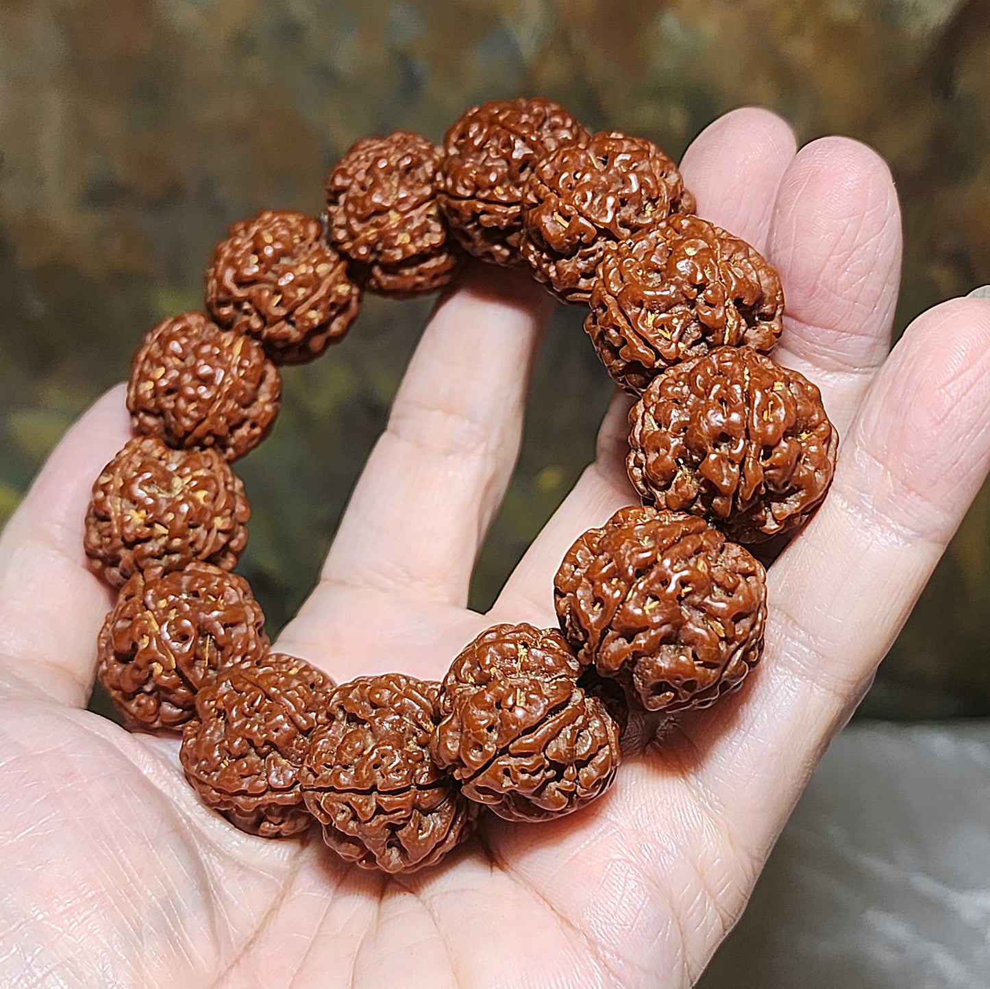21mm+ Thoroughly cleaned & brushed Nepal Rudraksha from high altitude (dense & high natural oil contents) same tree both sides Plum Flower Panlong Double-Dragon 5 Mukhi (faces) bracelet/Handheld 21毫米+ 深度清理打底尼泊尔五瓣高山安娜籽同树双面梅花盘龙双龙大金刚菩提子手串/手持