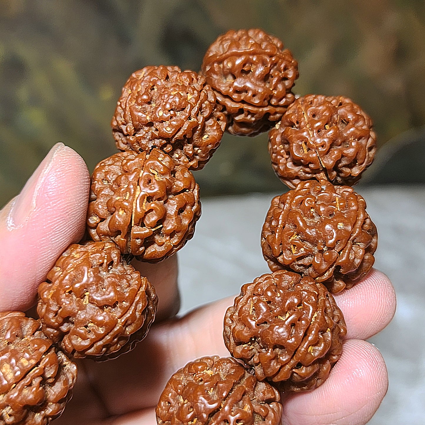 21mm+ Thoroughly cleaned & brushed Nepal Rudraksha from high altitude (dense & high natural oil contents) same tree both sides Plum Flower Panlong Double-Dragon 5 Mukhi (faces) bracelet/Handheld 21毫米+ 深度清理打底尼泊尔五瓣高山安娜籽同树双面梅花盘龙双龙大金刚菩提子手串/手持