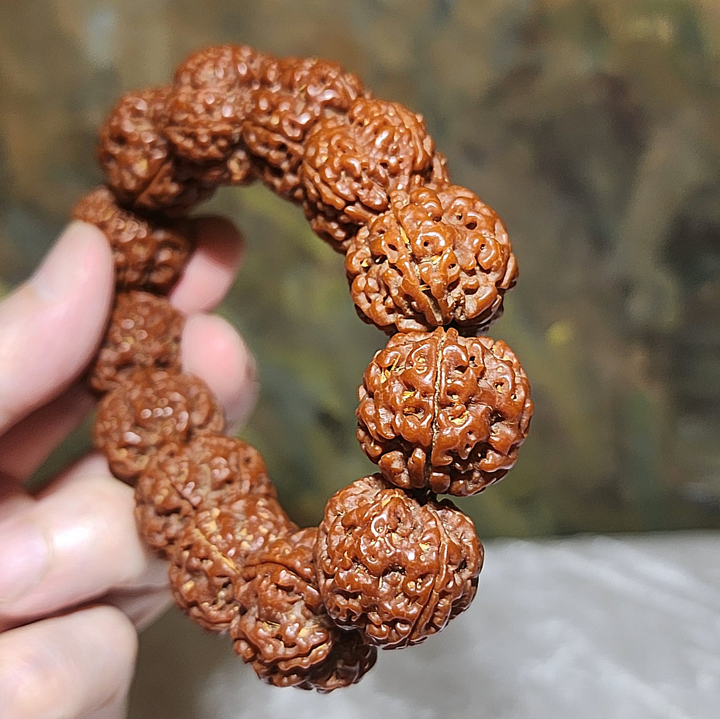 21mm+ Thoroughly cleaned & brushed Nepal Rudraksha from high altitude (dense & high natural oil contents) same tree both sides Plum Flower Panlong Double-Dragon 5 Mukhi (faces) bracelet/Handheld 21毫米+ 深度清理打底尼泊尔五瓣高山安娜籽同树双面梅花盘龙双龙大金刚菩提子手串/手持