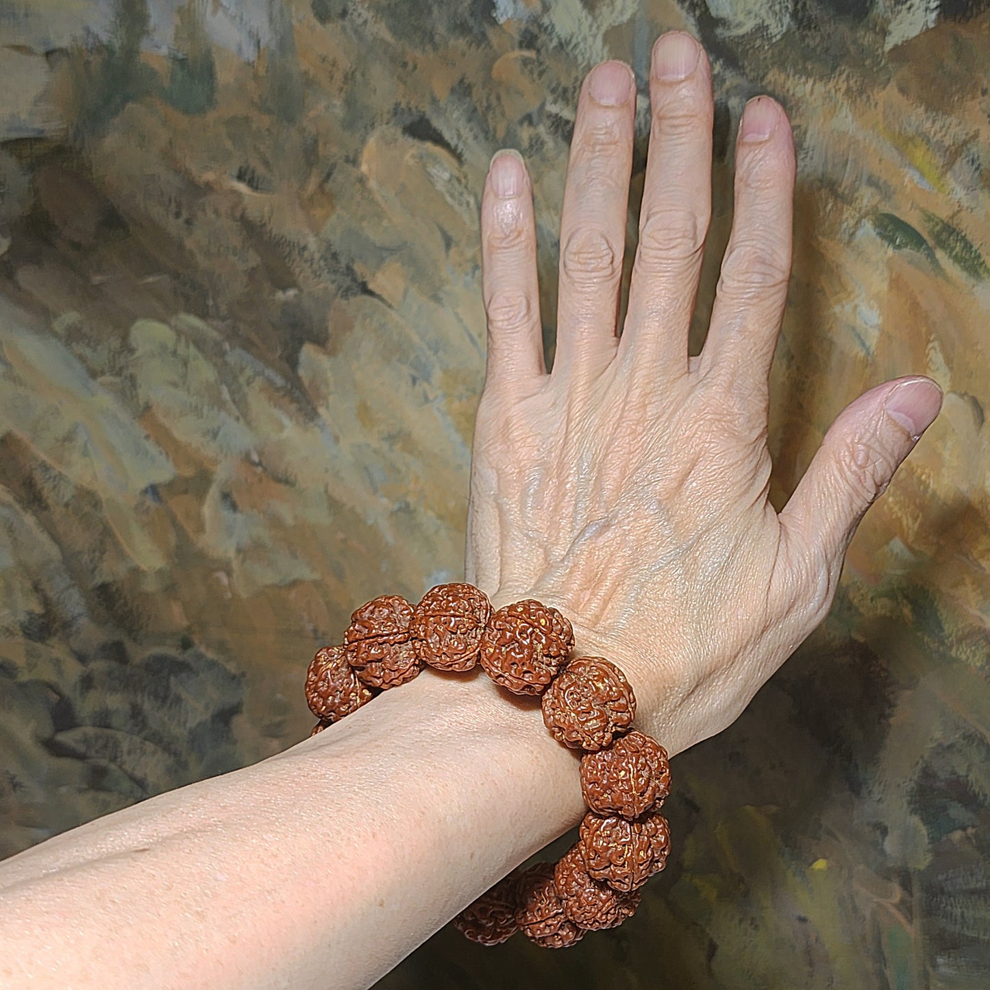 21mm+ Thoroughly cleaned & brushed Nepal Rudraksha from high altitude (dense & high natural oil contents) same tree both sides Plum Flower Panlong Double-Dragon 5 Mukhi (faces) bracelet/Handheld 21毫米+ 深度清理打底尼泊尔五瓣高山安娜籽同树双面梅花盘龙双龙大金刚菩提子手串/手持
