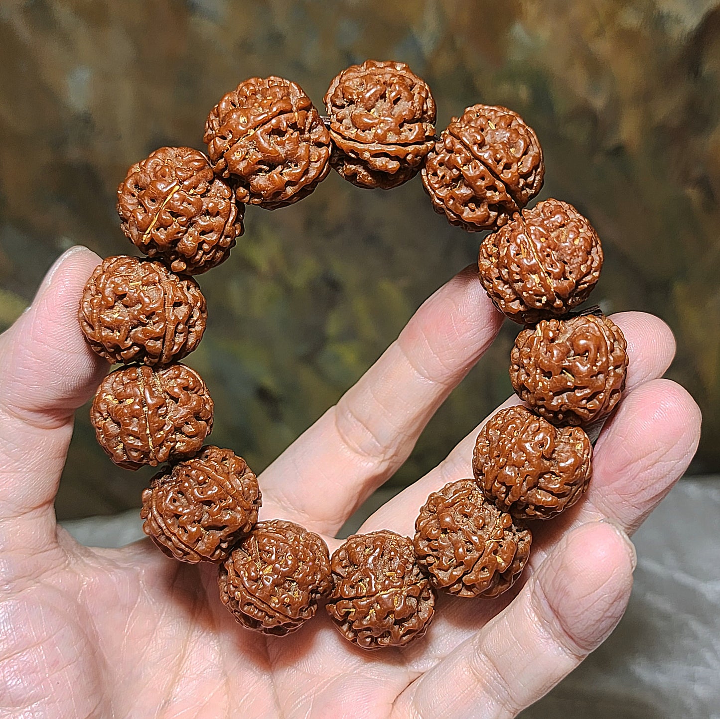 21mm+ Thoroughly cleaned & brushed Nepal Rudraksha from high altitude (dense & high natural oil contents) same tree both sides Plum Flower Panlong Double-Dragon 5 Mukhi (faces) bracelet/Handheld 21毫米+ 深度清理打底尼泊尔五瓣高山安娜籽同树双面梅花盘龙双龙大金刚菩提子手串/手持