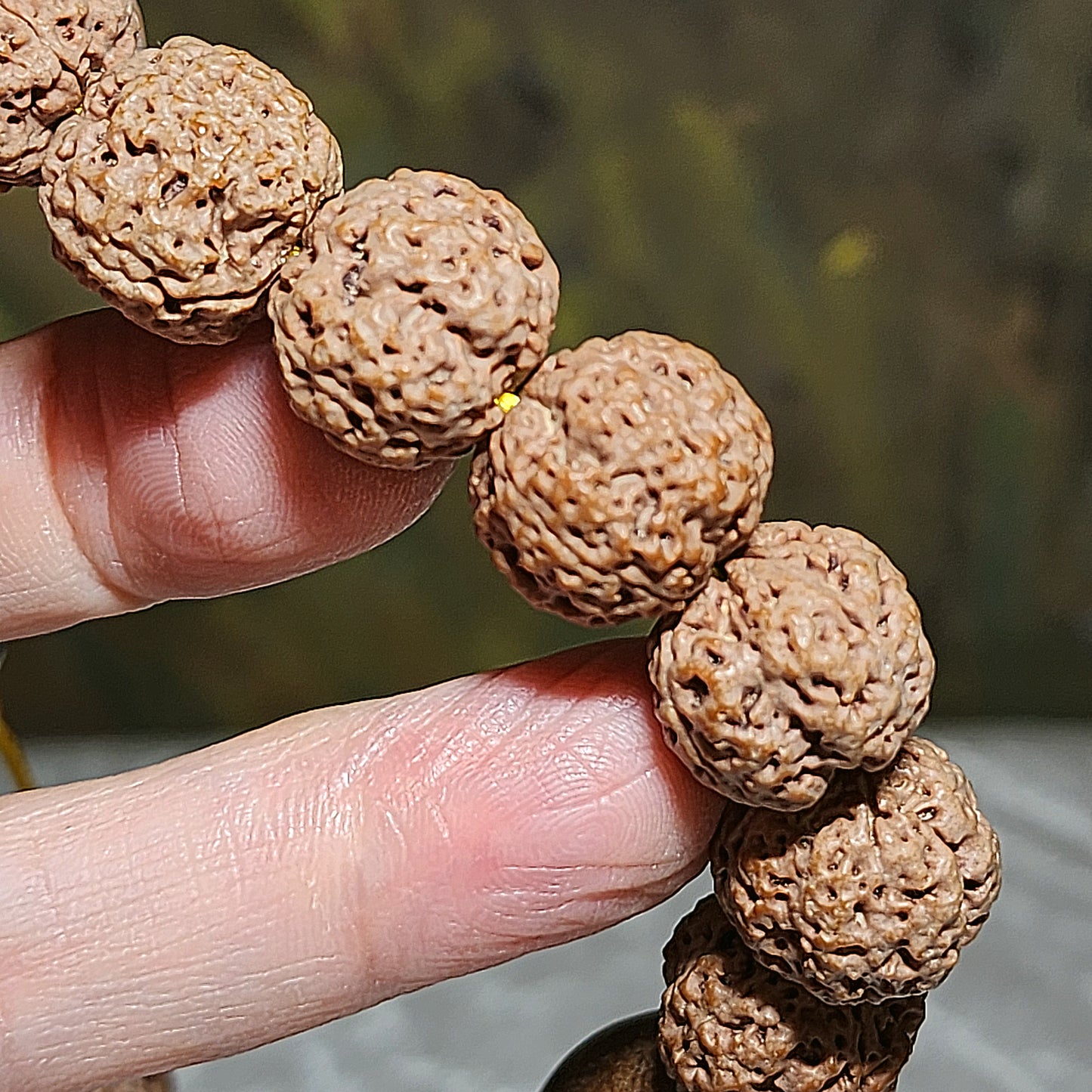 Gegegems rare XS Nepal large species Rudraksha "Panlong high back" Double Dragons 4 Mukhi with Tibetan Xang Xung red spots Lightning 5 Eyes Dzi Cinnabar carved coins 3 Eyes Dzi 18 beads mala handheld 罕见小尺寸尼泊尔四瓣大金刚菩提双龙高脊盘龙配象雄满朱砂闪电五眼达洛天珠帝皇砂古钱珠三眼天珠藏式三通十八子手持