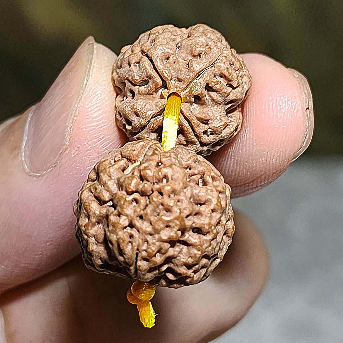 Gegegems rare XS Nepal large species Rudraksha "Panlong high back" Double Dragons 4 Mukhi with Tibetan Xang Xung red spots Lightning 5 Eyes Dzi Cinnabar carved coins 3 Eyes Dzi 18 beads mala handheld 罕见小尺寸尼泊尔四瓣大金刚菩提双龙高脊盘龙配象雄满朱砂闪电五眼达洛天珠帝皇砂古钱珠三眼天珠藏式三通十八子手持