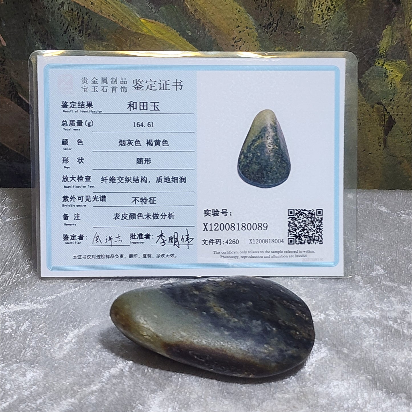 Gegegems Collection premium 164.6 grams raw Hetian Nephrite Qinghua (black & white) handheld original jade skin and pores (with certificate) 精品和田籽玉青花(黑白)原石褐黃原皮毛孔(帶证书)