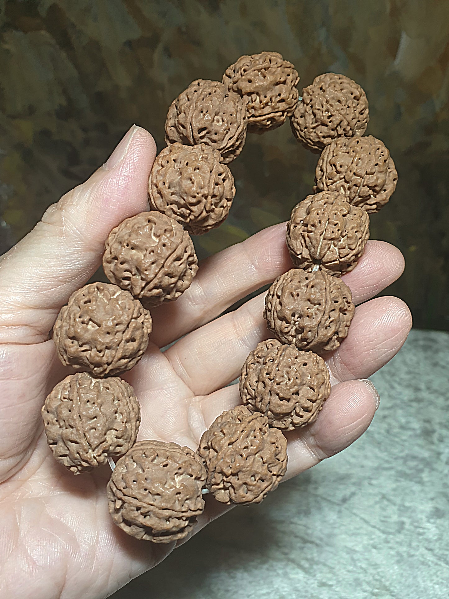 23mm+ Nepal Rudraksha high altitude (dense & high natural oil contents) Panlong Double Dragon 5 Mukhi (faces) bracelet/handheld 23毫米+ 尼泊尔大金刚菩提子五瓣超高密度高山安娜铁籽盘龙双龙手链/手持