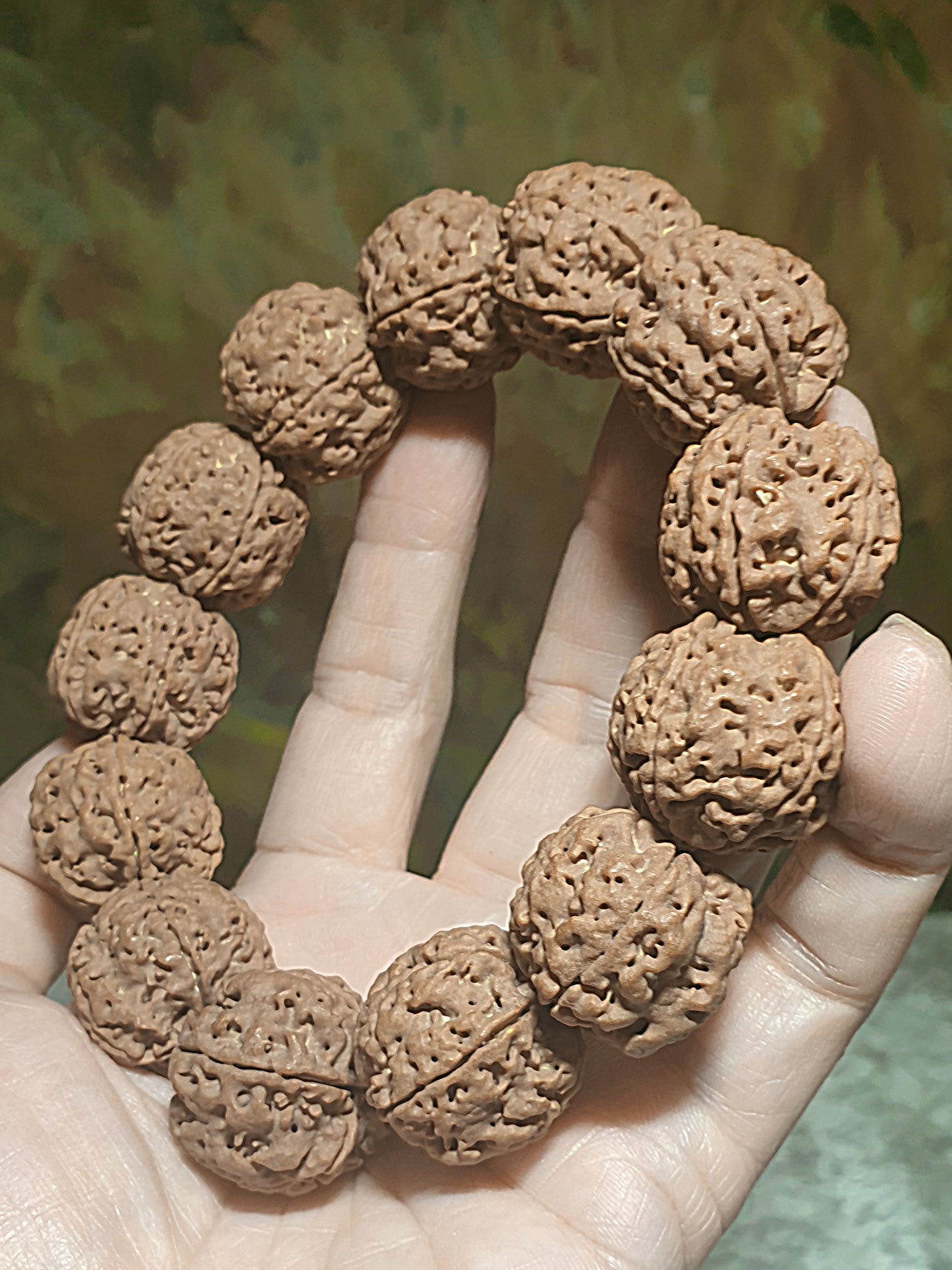 23mm+ Nepal Rudraksha high altitude (dense & high natural oil contents) Panlong Double Dragon 5 Mukhi (faces) bracelet/handheld 23毫米+ 尼泊尔大金刚菩提子五瓣超高密度高山安娜铁籽盘龙双龙手链/手持