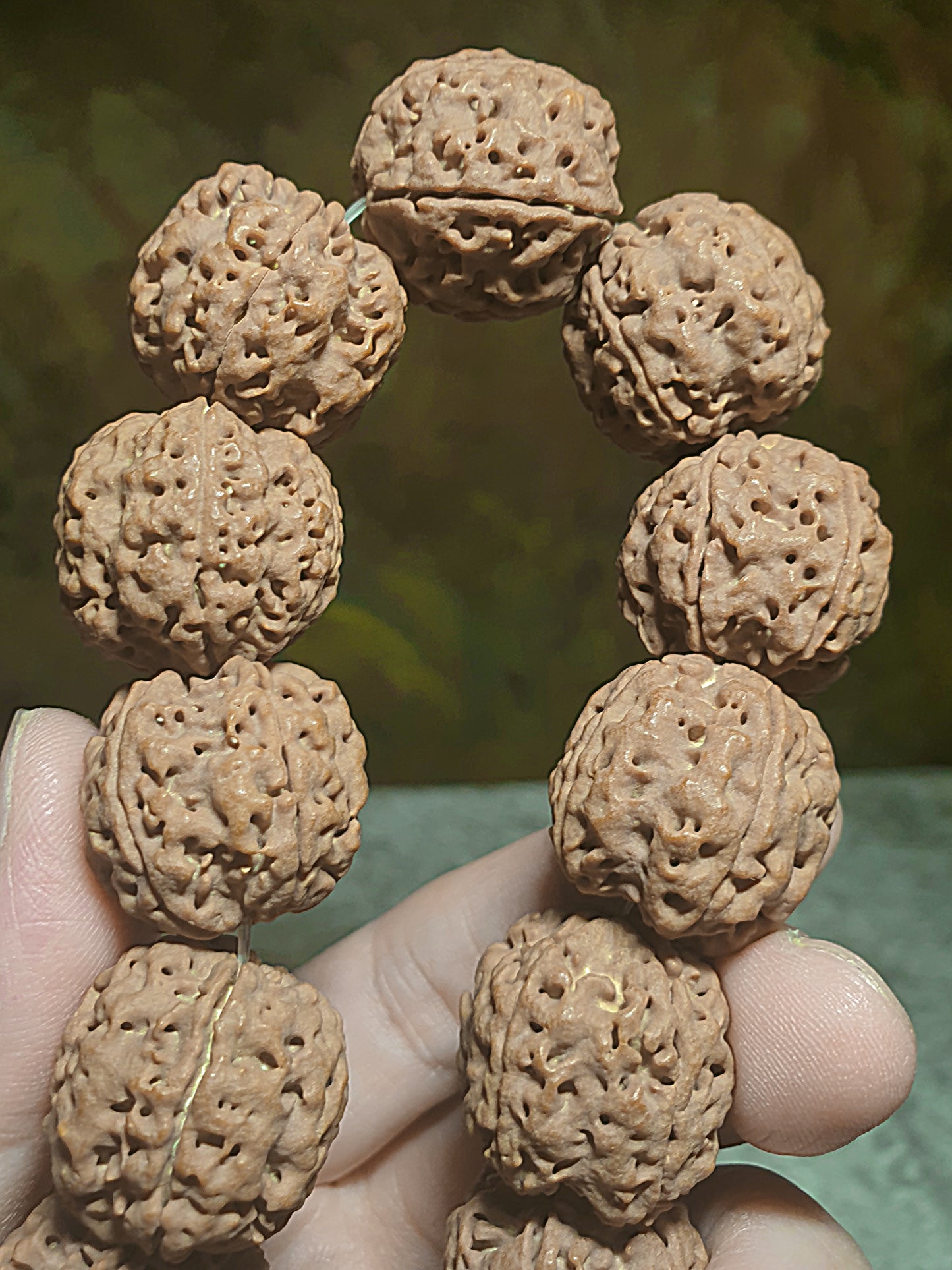 23mm+ Nepal Rudraksha high altitude (dense & high natural oil contents) Panlong Double Dragon 5 Mukhi (faces) bracelet/handheld 23毫米+ 尼泊尔大金刚菩提子五瓣超高密度高山安娜铁籽盘龙双龙手链/手持