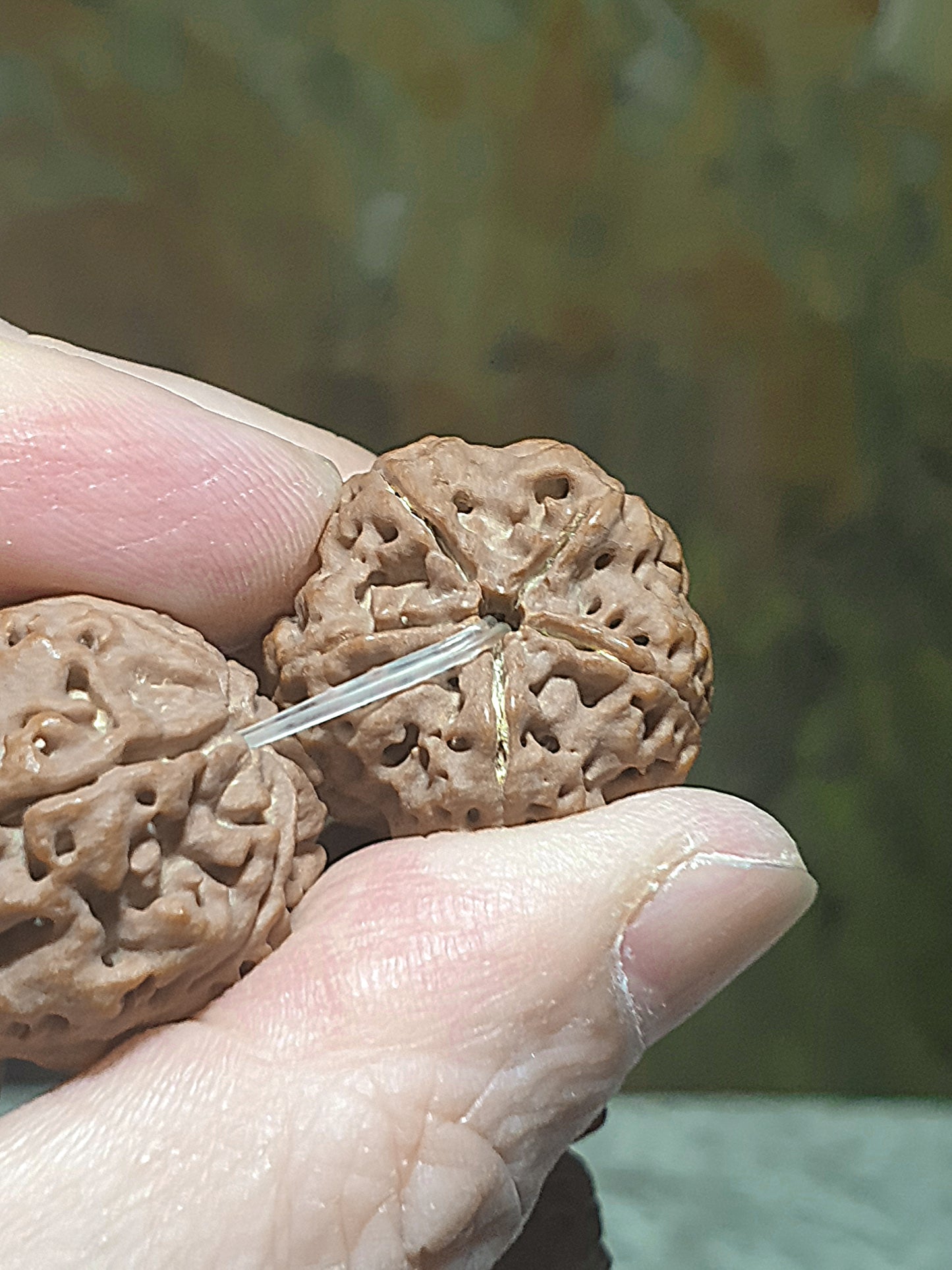 23mm+ Nepal Rudraksha high altitude (dense & high natural oil contents) Panlong Double Dragon 5 Mukhi (faces) bracelet/handheld 23毫米+ 尼泊尔大金刚菩提子五瓣超高密度高山安娜铁籽盘龙双龙手链/手持