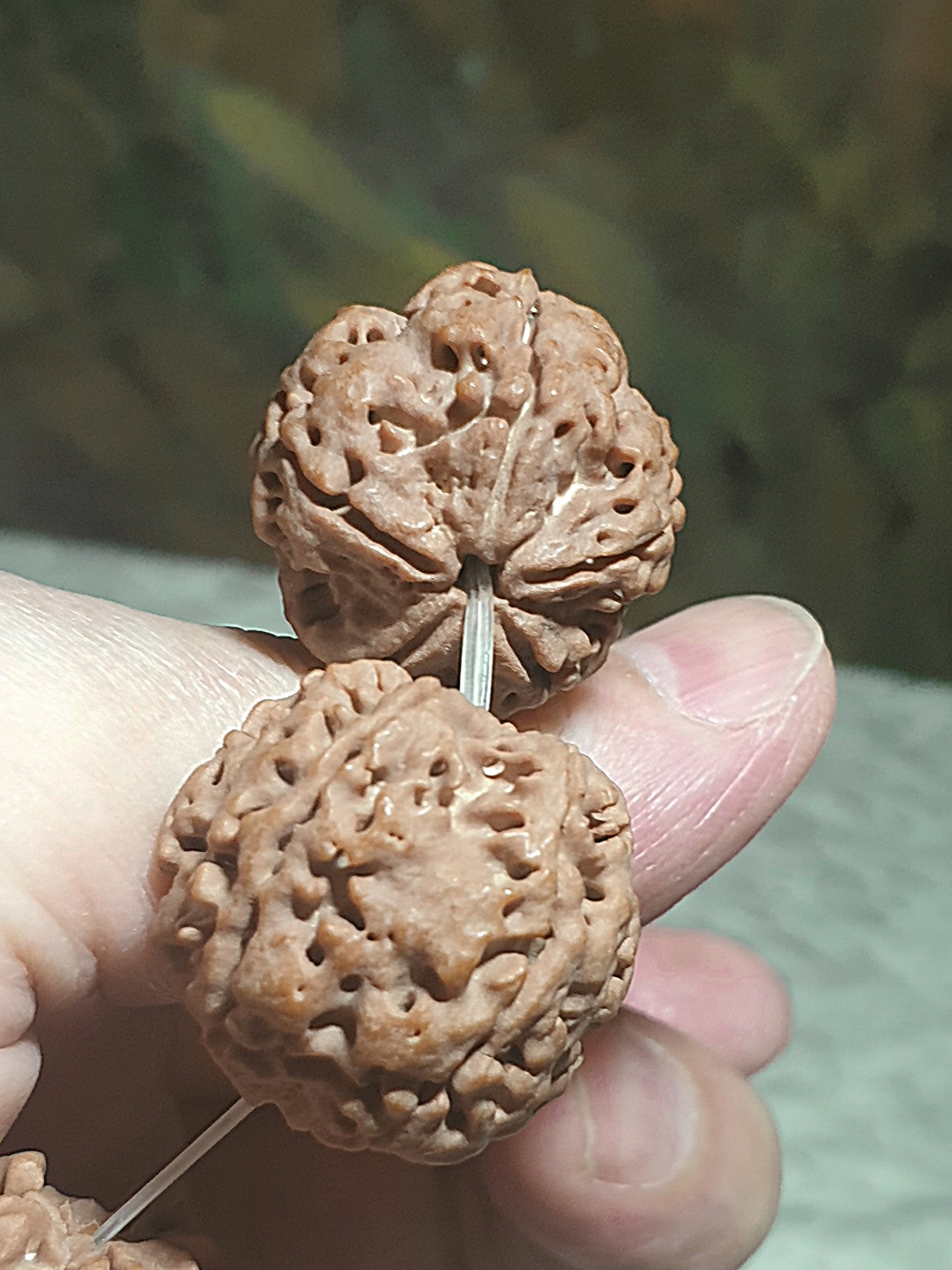 23mm+ Nepal Rudraksha high altitude (dense & high natural oil contents) Panlong Double Dragon 5 Mukhi (faces) bracelet/handheld 23毫米+ 尼泊尔大金刚菩提子五瓣超高密度高山安娜铁籽盘龙双龙手链/手持