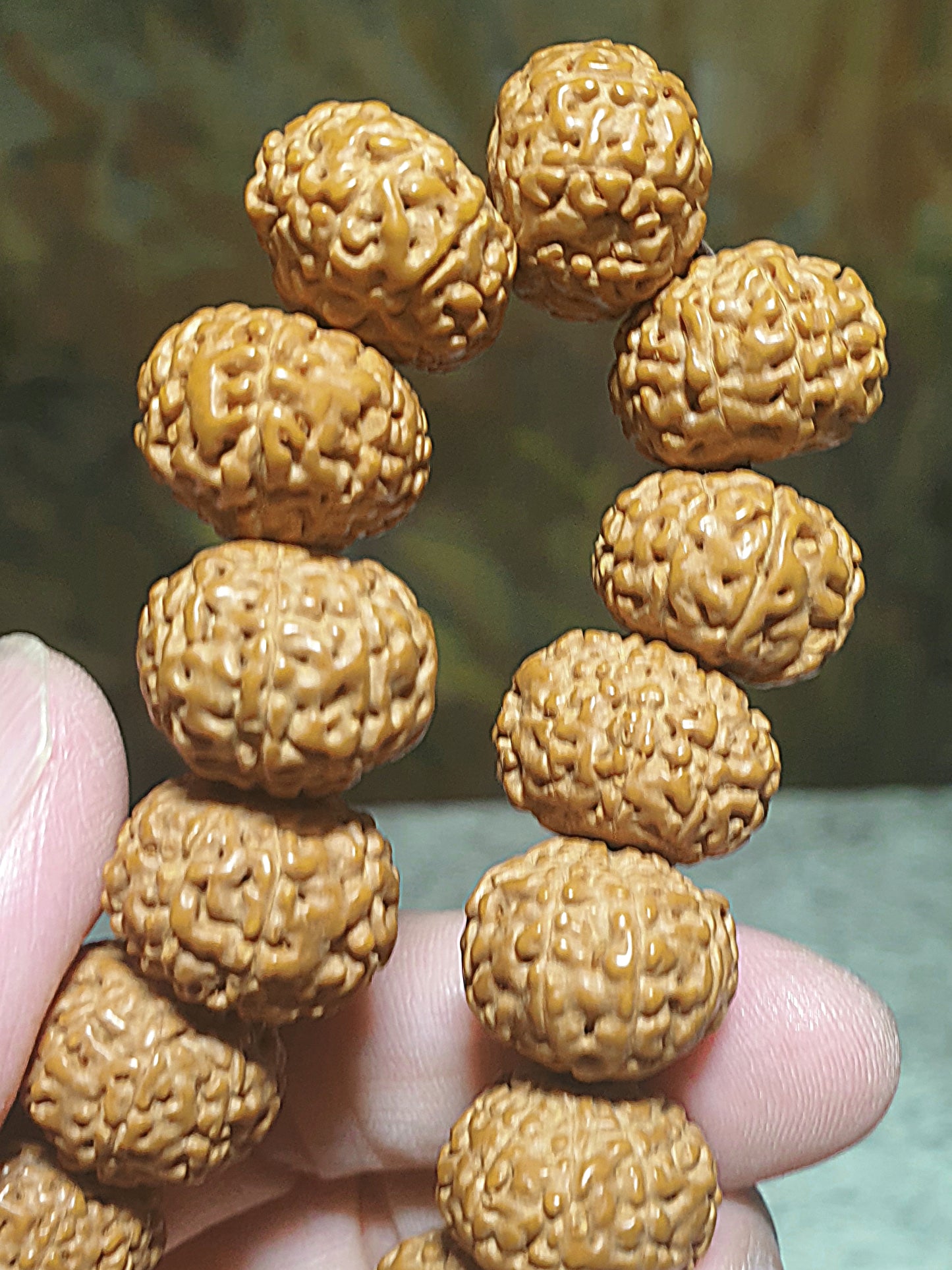 16mm premium natural "Panlong" (Coiling Dragon) 9 Mukhi (faces) small species Rudraksha bracelet/hand-held 16毫米九瓣盘龙小金刚菩提子手串/手持