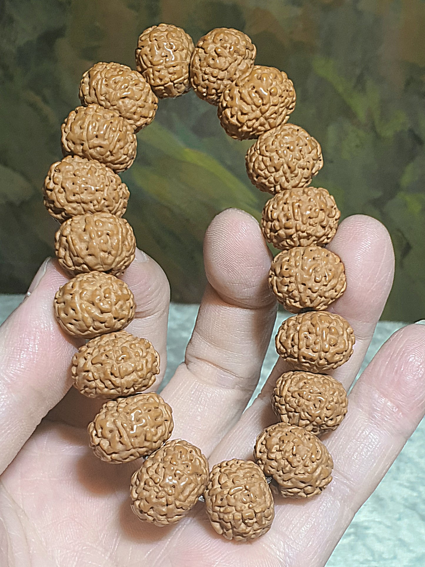 16mm premium natural "Panlong" (Coiling Dragon) 9 Mukhi (faces) small species Rudraksha bracelet/hand-held 16毫米九瓣盘龙小金刚菩提子手串/手持