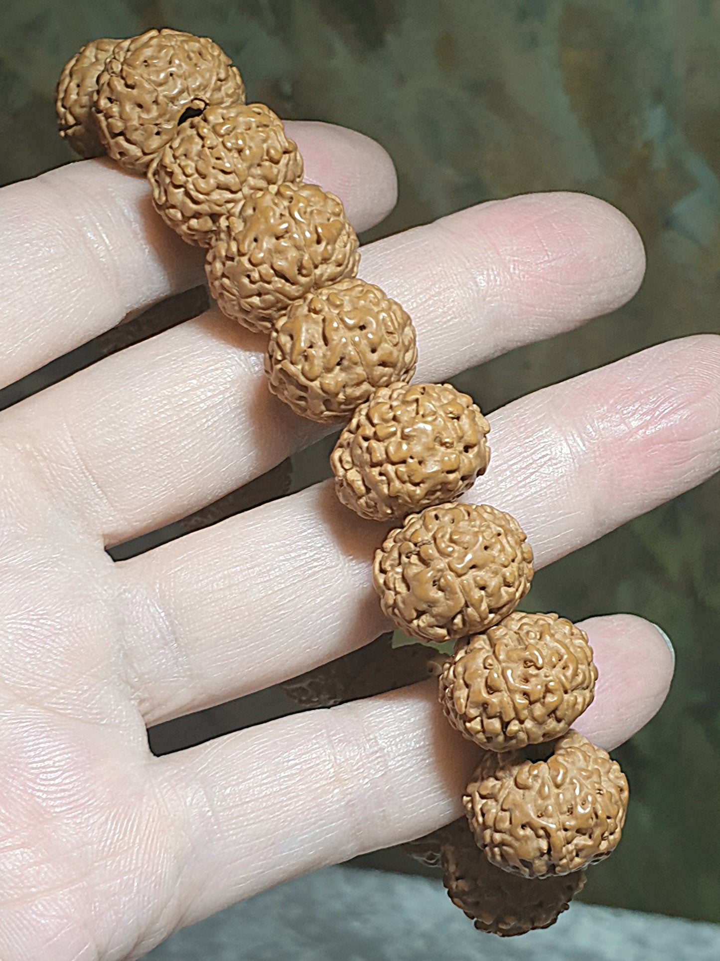 16mm premium natural "Panlong" (Coiling Dragon) 9 Mukhi (faces) small species Rudraksha bracelet/hand-held 16毫米九瓣盘龙小金刚菩提子手串/手持
