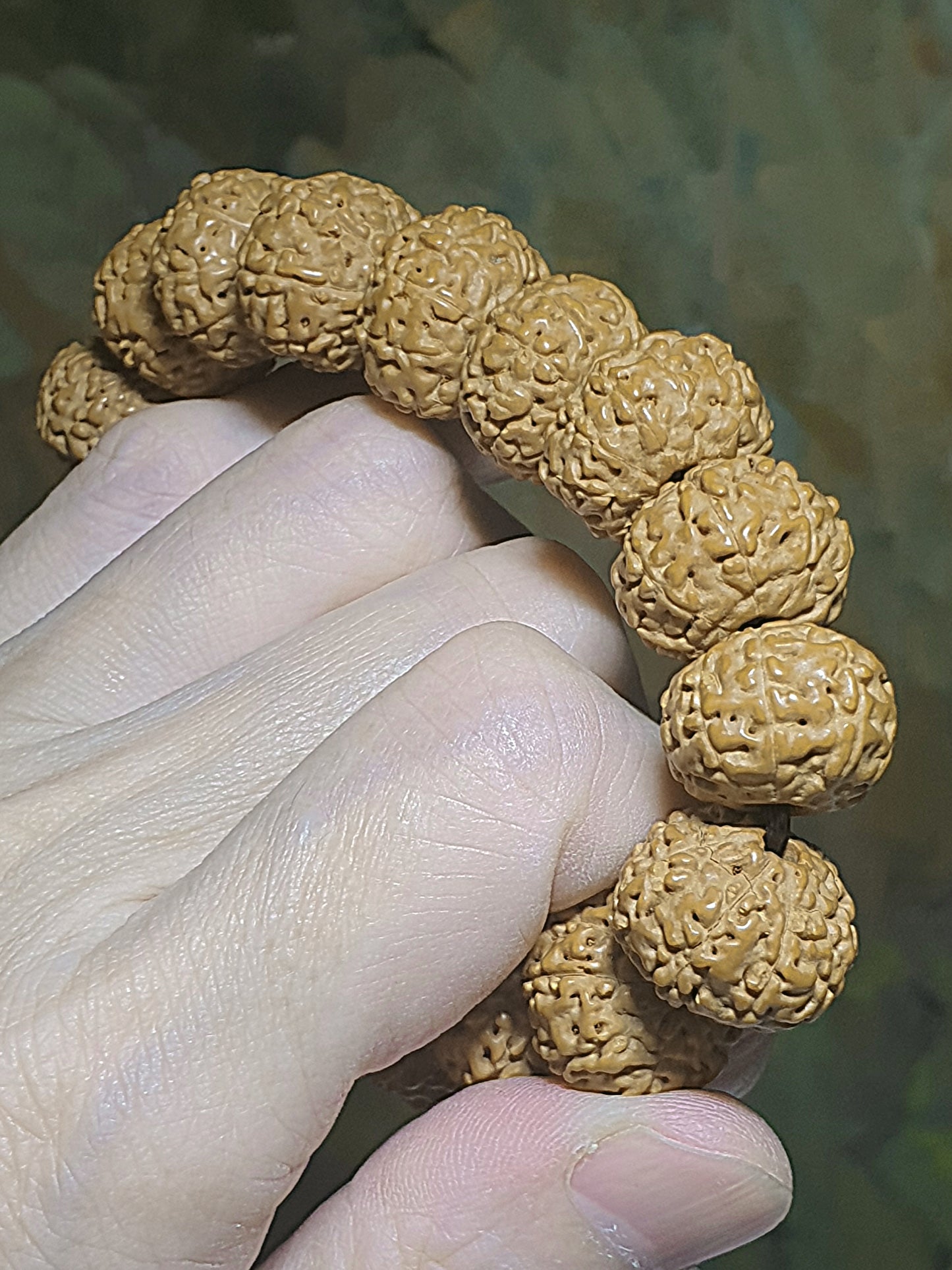 16mm premium natural "Panlong" (Coiling Dragon) 9 Mukhi (faces) small species Rudraksha bracelet/hand-held 16毫米九瓣盘龙小金刚菩提子手串/手持
