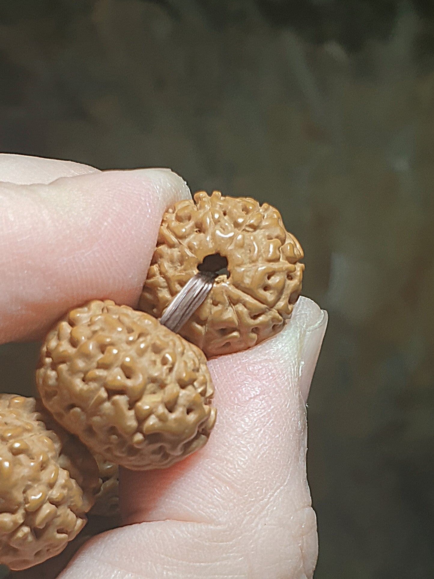 16mm premium natural "Panlong" (Coiling Dragon) 9 Mukhi (faces) small species Rudraksha bracelet/hand-held 16毫米九瓣盘龙小金刚菩提子手串/手持