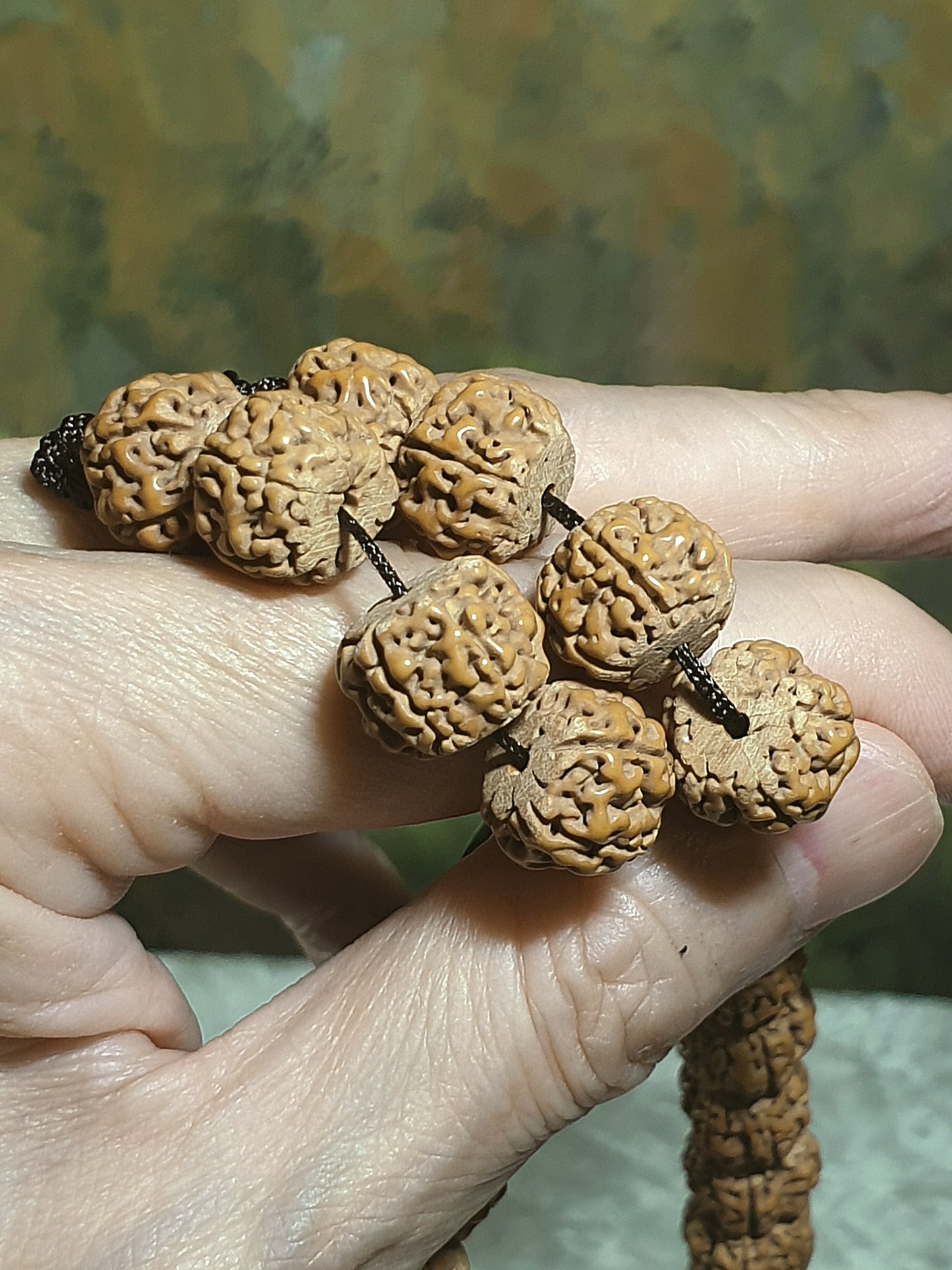 Extra large 13.5mm small species Rudraksha "First Generation Pan Long (Coiling Dragon)" Tibetan style 108 mala beads/necklace 13.5毫米超大尺寸藏式一代盘龙小金刚菩提108念珠/项链