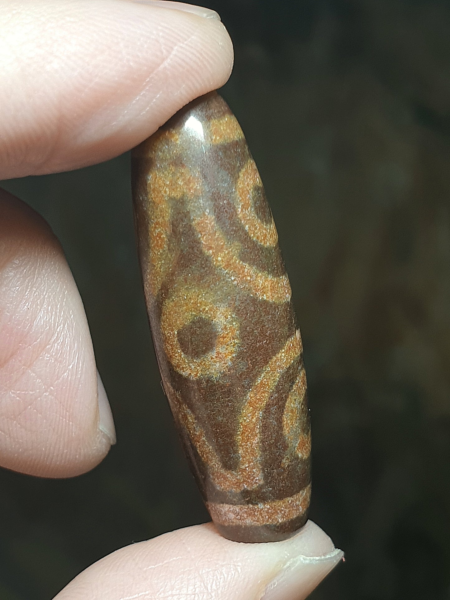 39.8mm Aged Tibetan Xang Xung (Zhang Zhung) Visvavajra 6 Eyes Dzi with red spots (with certificate, necklace string) 39.8毫米西藏老矿象雄满朱砂十字金刚六眼天珠(带证书送项链绳)