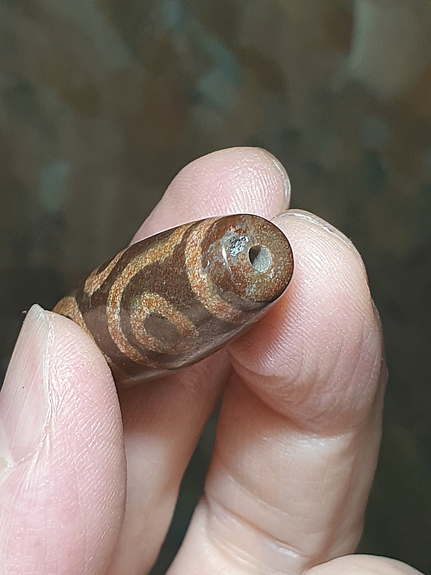 39.8mm Aged Tibetan Xang Xung (Zhang Zhung) Visvavajra 6 Eyes Dzi with red spots (with certificate, necklace string) 39.8毫米西藏老矿象雄满朱砂十字金刚六眼天珠(带证书送项链绳)