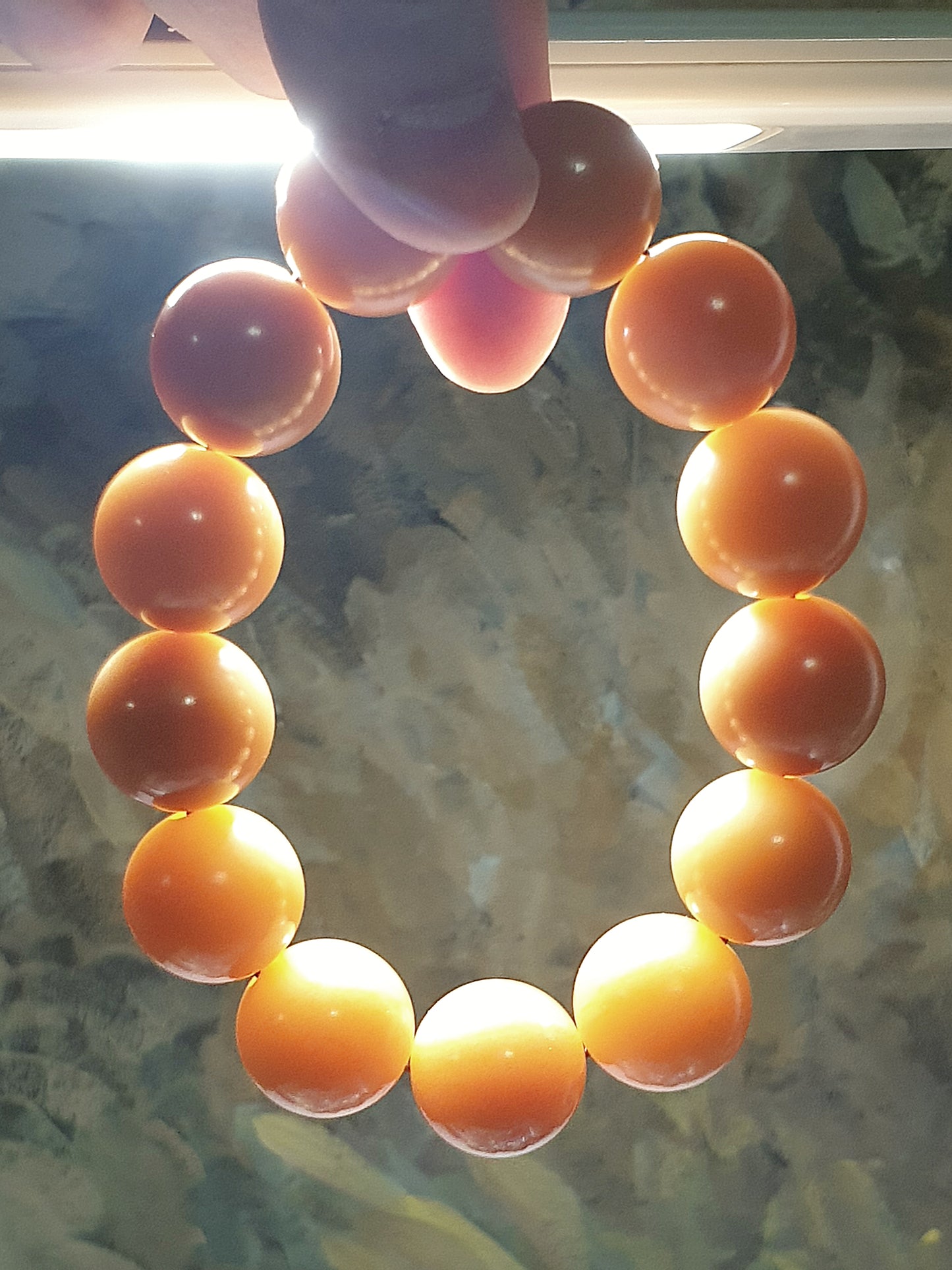 18.6mm "Bodhi Root (seeds of Corypha umbraculifea)" aged naturally turned brownish bracelet 18.6毫米风化菩提根手链