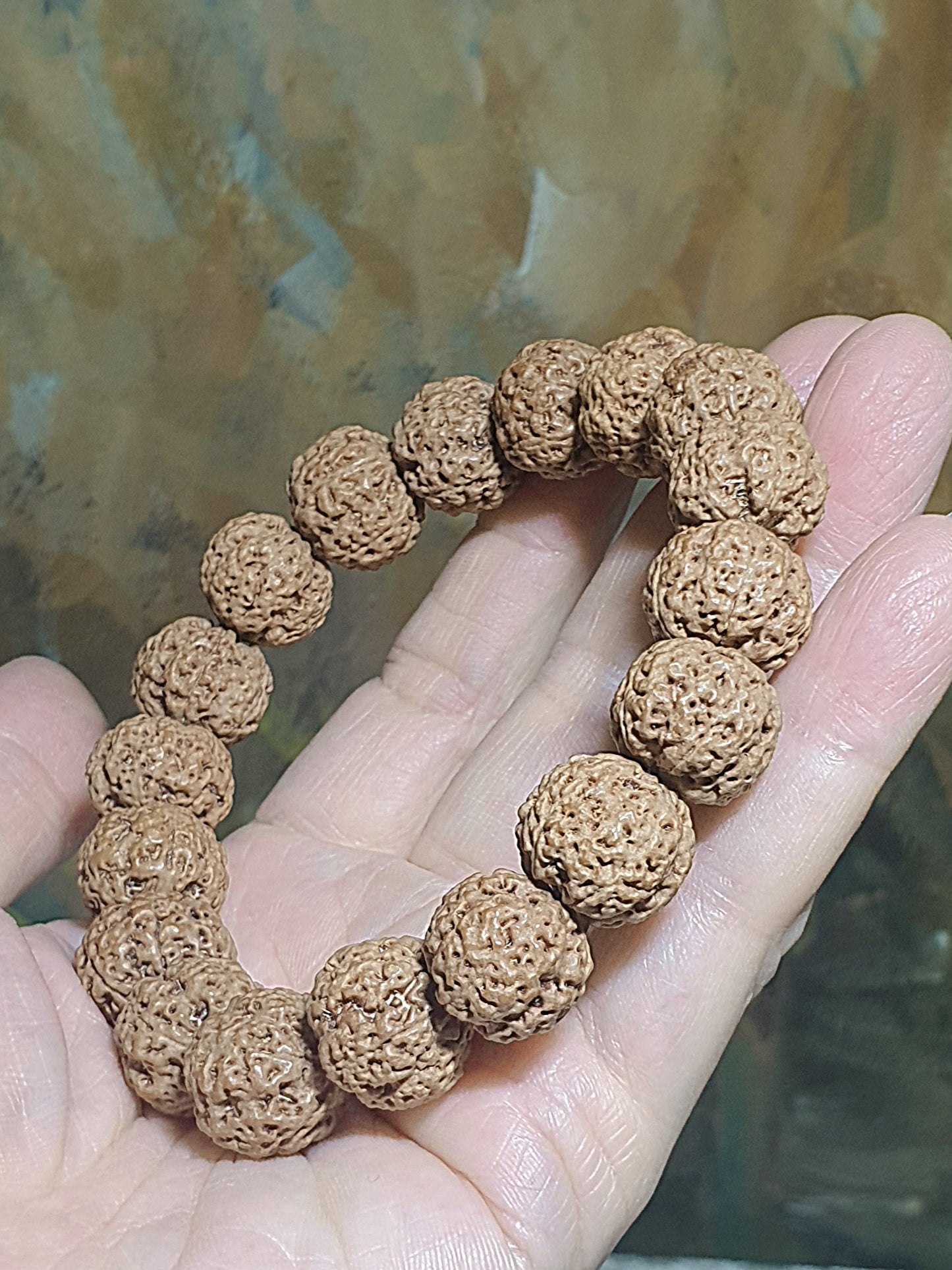 Rare small size 15.5mm Nepal Rudraksha high altitude (dense & high natural oil contents) "Plum Blossom" "honeycomb" 5 Mukhi (faces) bracelet with 2 extra beads 罕见小尺寸15.5毫米尼泊尔大金刚菩提子五瓣高山安娜铁籽梅花蜂窝手链加两颗备籽