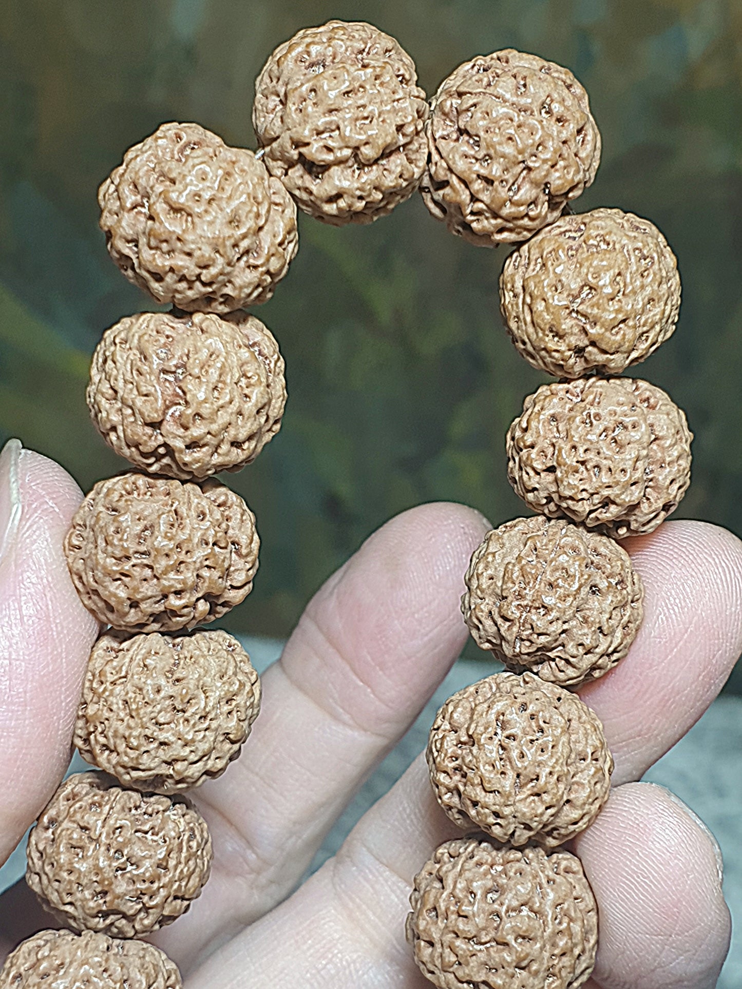 Rare small size 15.5mm Nepal Rudraksha high altitude (dense & high natural oil contents) "Plum Blossom" "honeycomb" 5 Mukhi (faces) bracelet with 2 extra beads 罕见小尺寸15.5毫米尼泊尔大金刚菩提子五瓣高山安娜铁籽梅花蜂窝手链加两颗备籽
