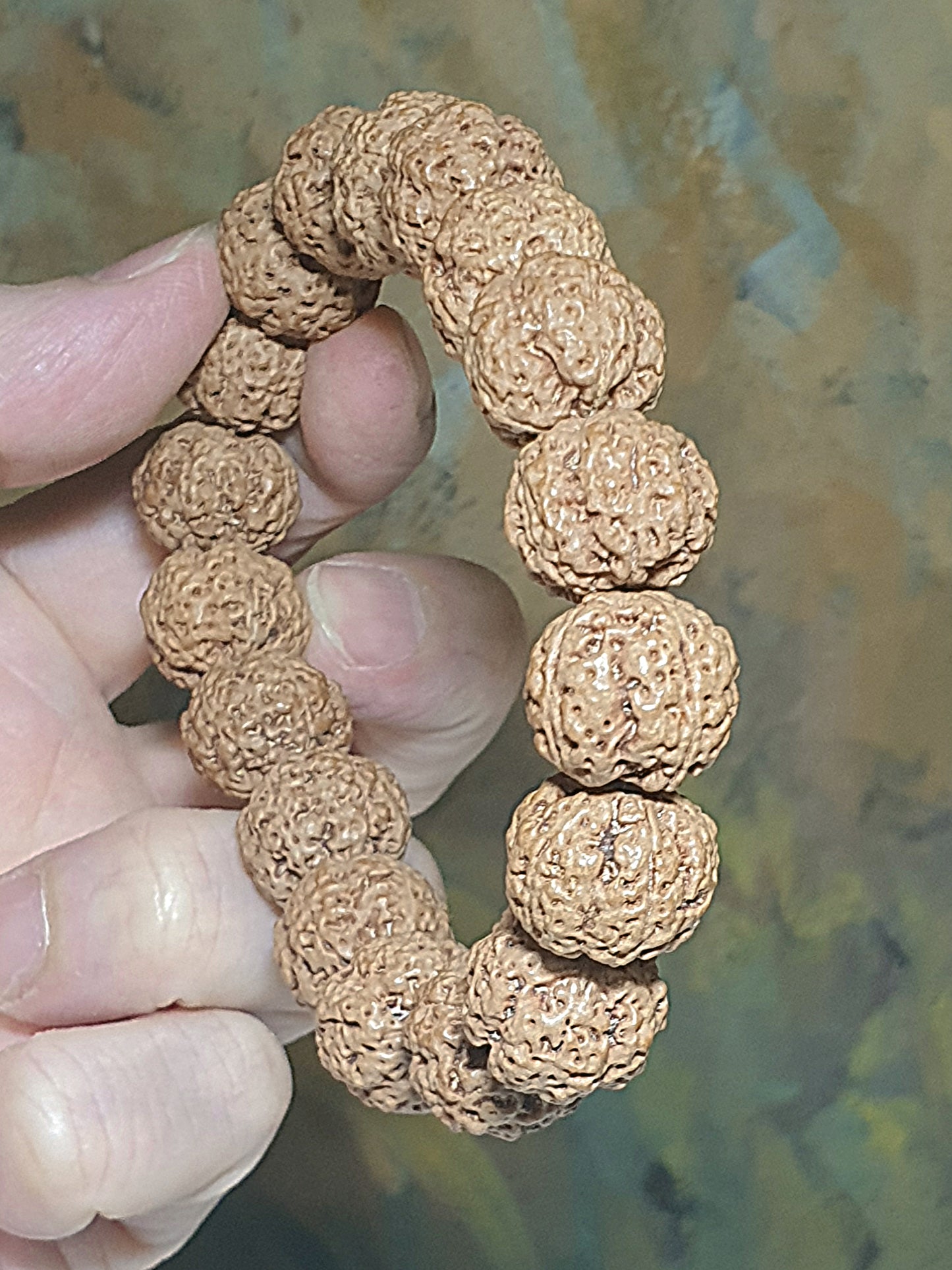 Rare small size 15.5mm Nepal Rudraksha high altitude (dense & high natural oil contents) "Plum Blossom" "honeycomb" 5 Mukhi (faces) bracelet with 2 extra beads 罕见小尺寸15.5毫米尼泊尔大金刚菩提子五瓣高山安娜铁籽梅花蜂窝手链加两颗备籽
