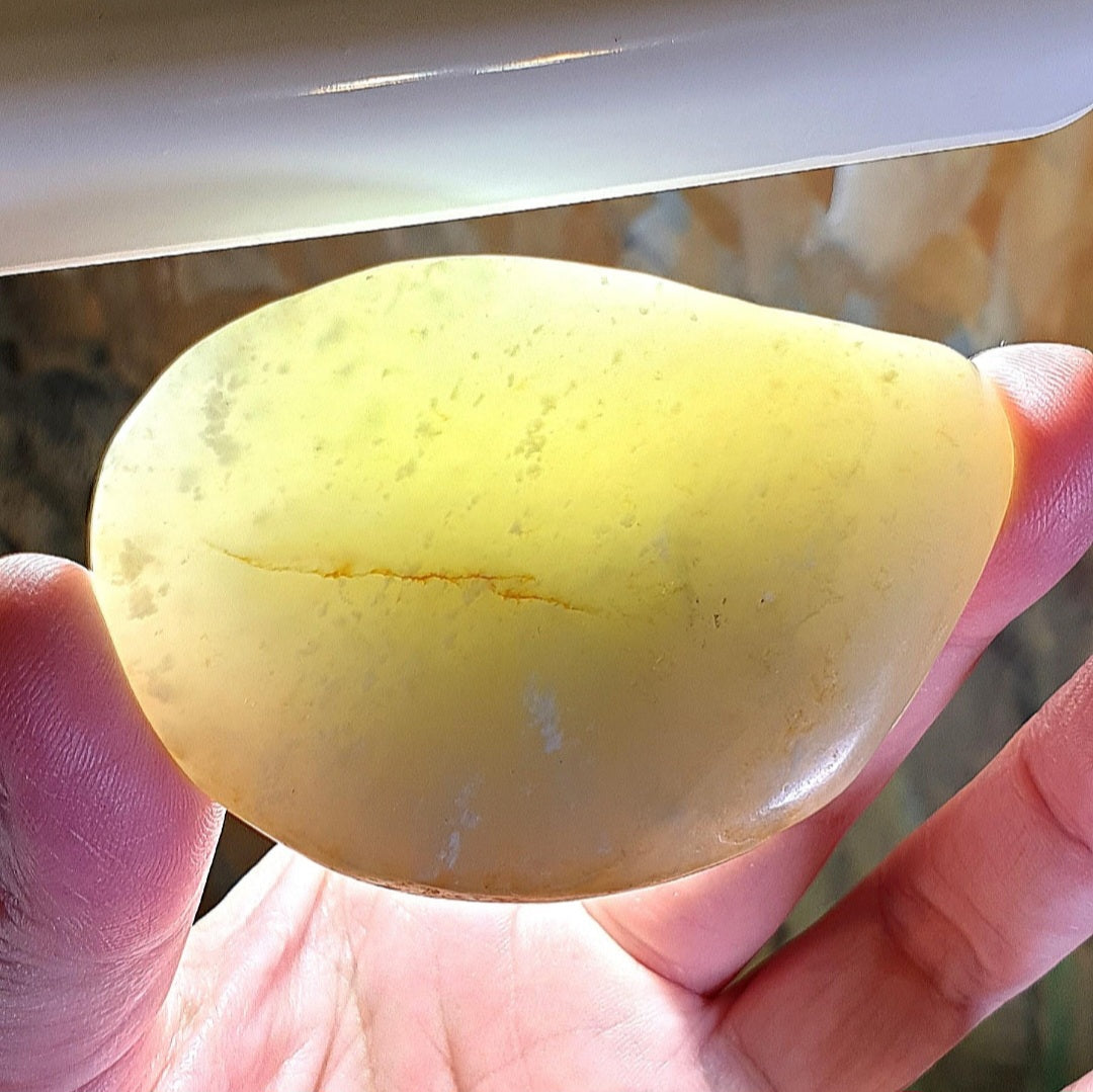 Premium Hetian Pebble Nephrite whitish light green hue Angelfish & Ruyi Jade handheld/large pendant (with certificate) 和田玉籽玉微绿如意神仙鱼手把件(带证书送挂绳)