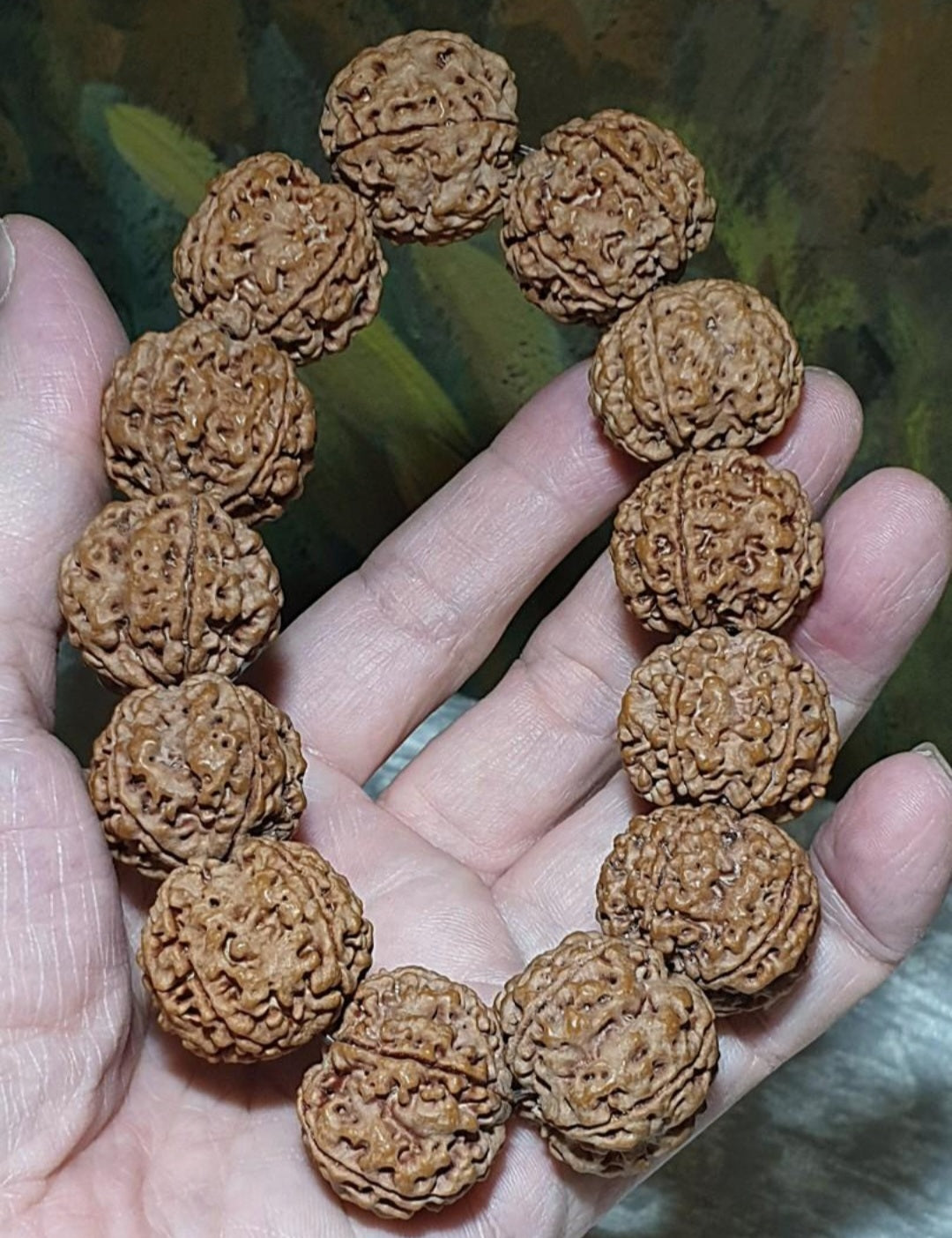 Rare XL 24mm+ Premium Nepal Rudraksha high altitude (dense & high natural oil contents) pinkish same tree both sides Plum Flower "Needle holes Honeycomb" Double-Dragon 5 Mukhi bracelet 罕见大尺寸尼泊尔五瓣高山安娜籽粉红皮同树双面梅花针孔蜂窝双龙大金刚菩提子手串