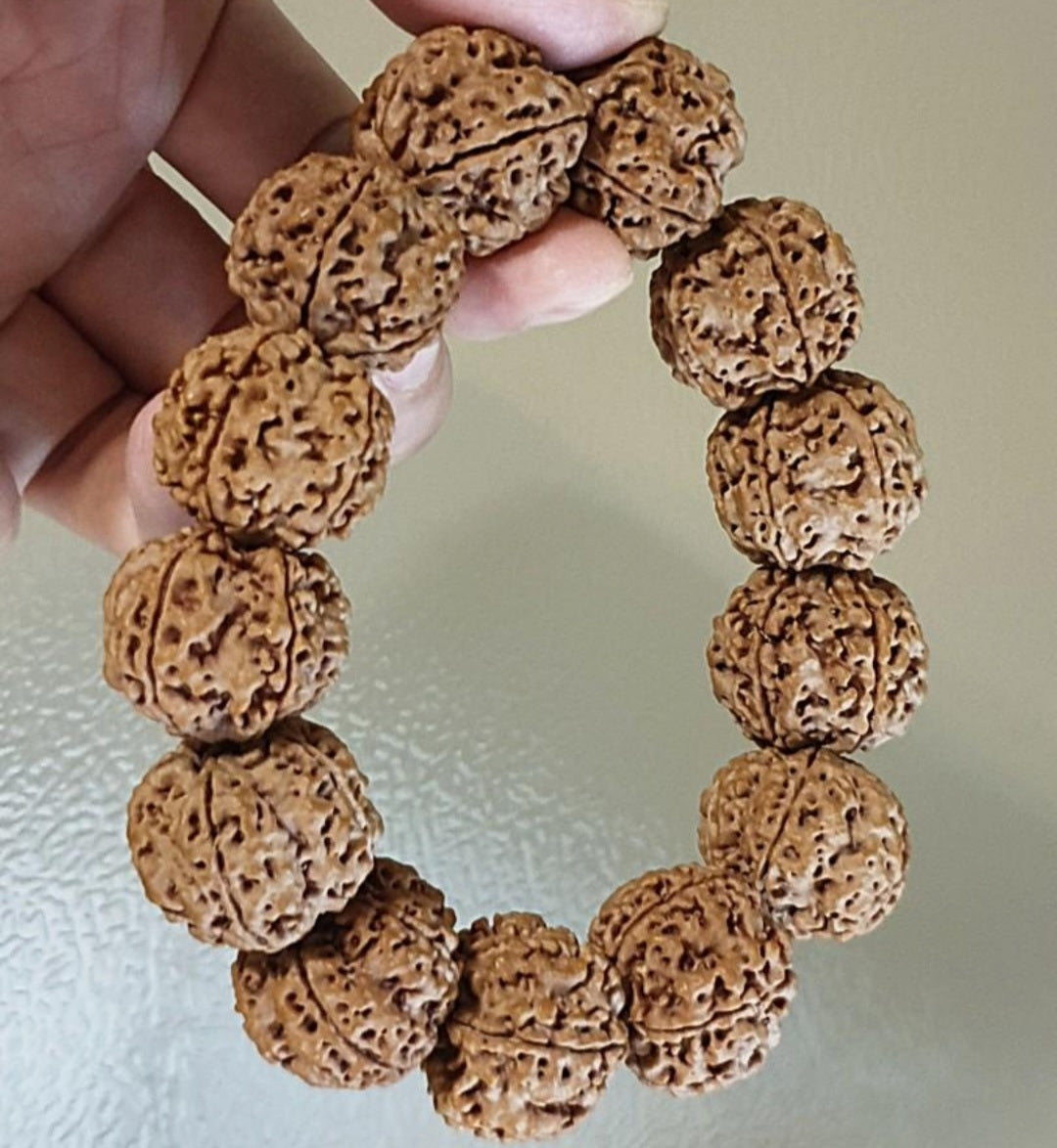 Rare XL 24mm+ Premium Nepal Rudraksha high altitude (dense & high natural oil contents) pinkish same tree both sides Plum Flower "Needle holes Honeycomb" Double-Dragon 5 Mukhi bracelet 罕见大尺寸尼泊尔五瓣高山安娜籽粉红皮同树双面梅花针孔蜂窝双龙大金刚菩提子手串
