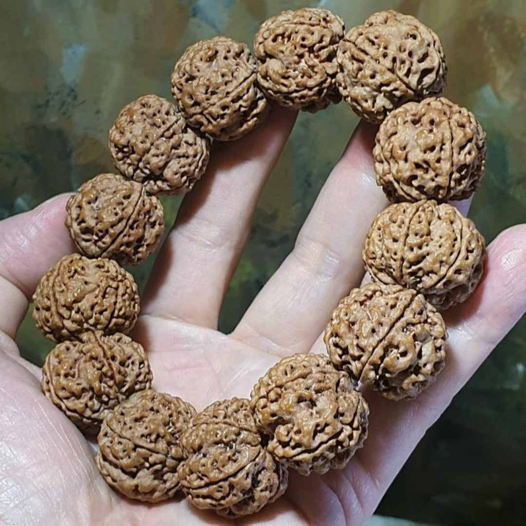 Rare XL 24mm+ Premium Nepal Rudraksha high altitude (dense & high natural oil contents) pinkish same tree both sides Plum Flower "Needle holes Honeycomb" Double-Dragon 5 Mukhi bracelet 罕见大尺寸尼泊尔五瓣高山安娜籽粉红皮同树双面梅花针孔蜂窝双龙大金刚菩提子手串
