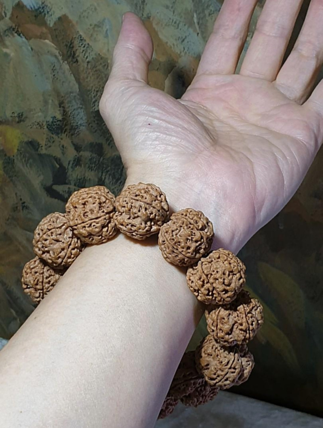 Rare XL 24mm+ Premium Nepal Rudraksha high altitude (dense & high natural oil contents) pinkish same tree both sides Plum Flower "Needle holes Honeycomb" Double-Dragon 5 Mukhi bracelet 罕见大尺寸尼泊尔五瓣高山安娜籽粉红皮同树双面梅花针孔蜂窝双龙大金刚菩提子手串