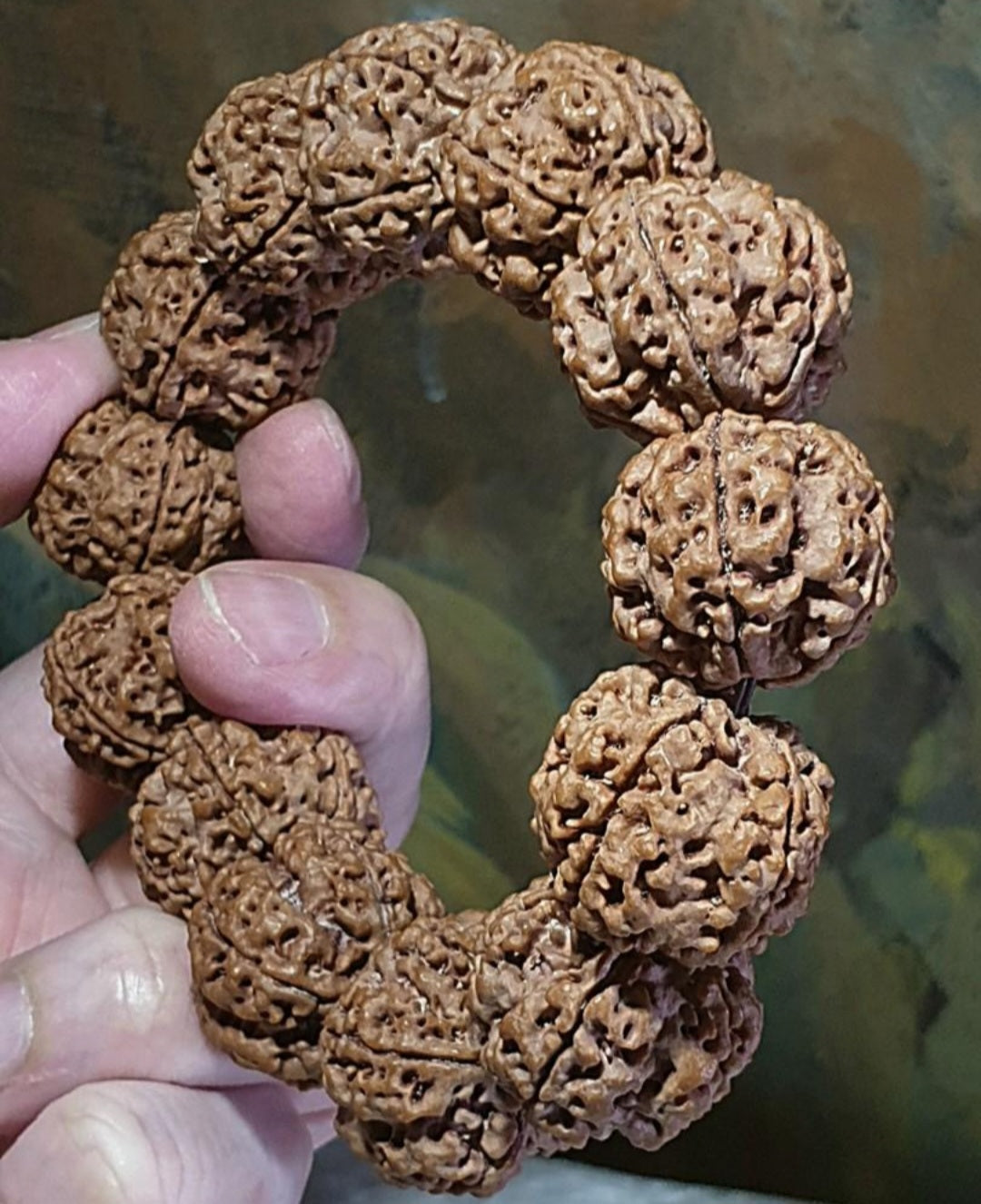 Rare XL 24mm+ Premium Nepal Rudraksha high altitude (dense & high natural oil contents) pinkish same tree both sides Plum Flower "Needle holes Honeycomb" Double-Dragon 5 Mukhi bracelet 罕见大尺寸尼泊尔五瓣高山安娜籽粉红皮同树双面梅花针孔蜂窝双龙大金刚菩提子手串