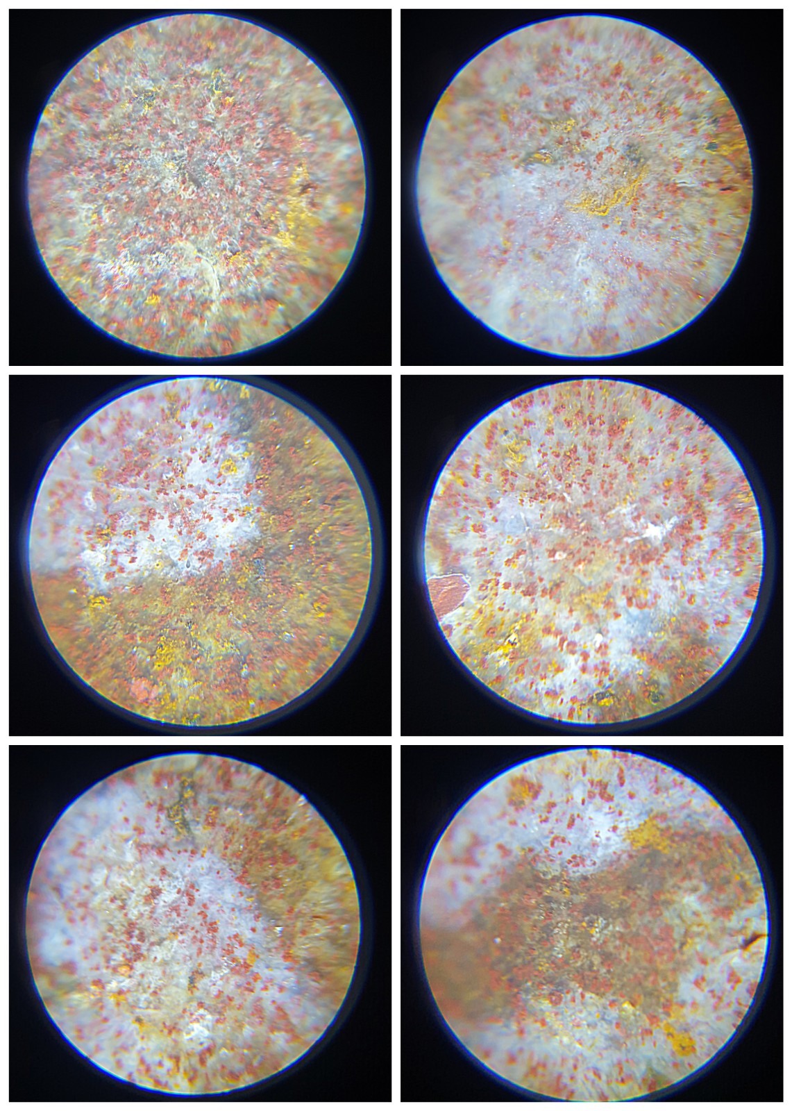 56.8mm Aged Tibetan Xang Xung (Zhang Zhung) Emperor Dragon Dzi with lots of fine red spots (with certificate) 56.8毫米西藏老矿象雄满细朱砂五爪(趾)金龙天珠(带证书)