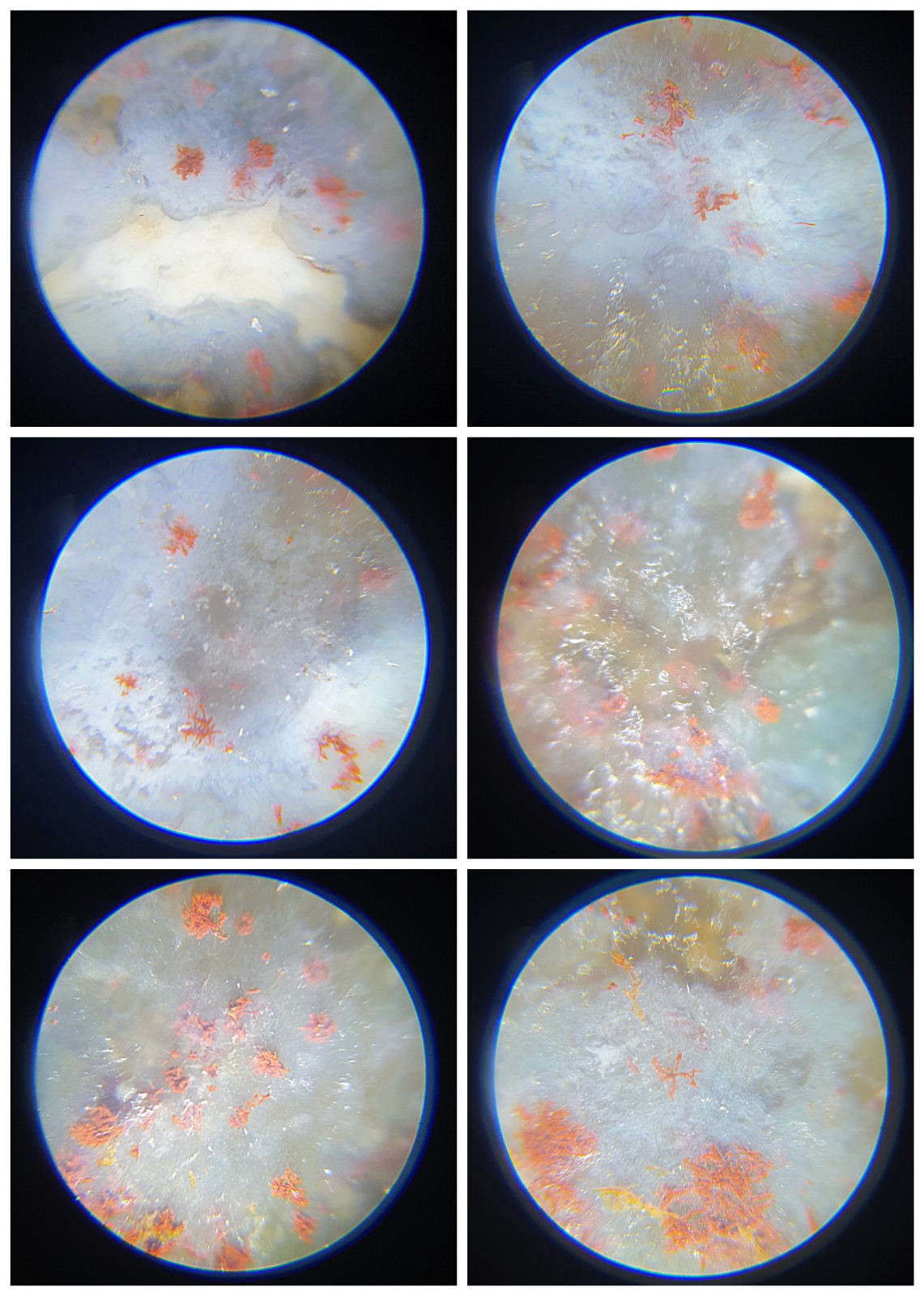 28.5mm Rare aged Tibetan Xang Xung (Zhang Zhung) semi translucent Longevity Treasure Vase Dzi full of red spots (with certificate) 28.5毫米罕见西藏老矿象雄玉化满红朱砂长寿宝瓶天珠(带证书)