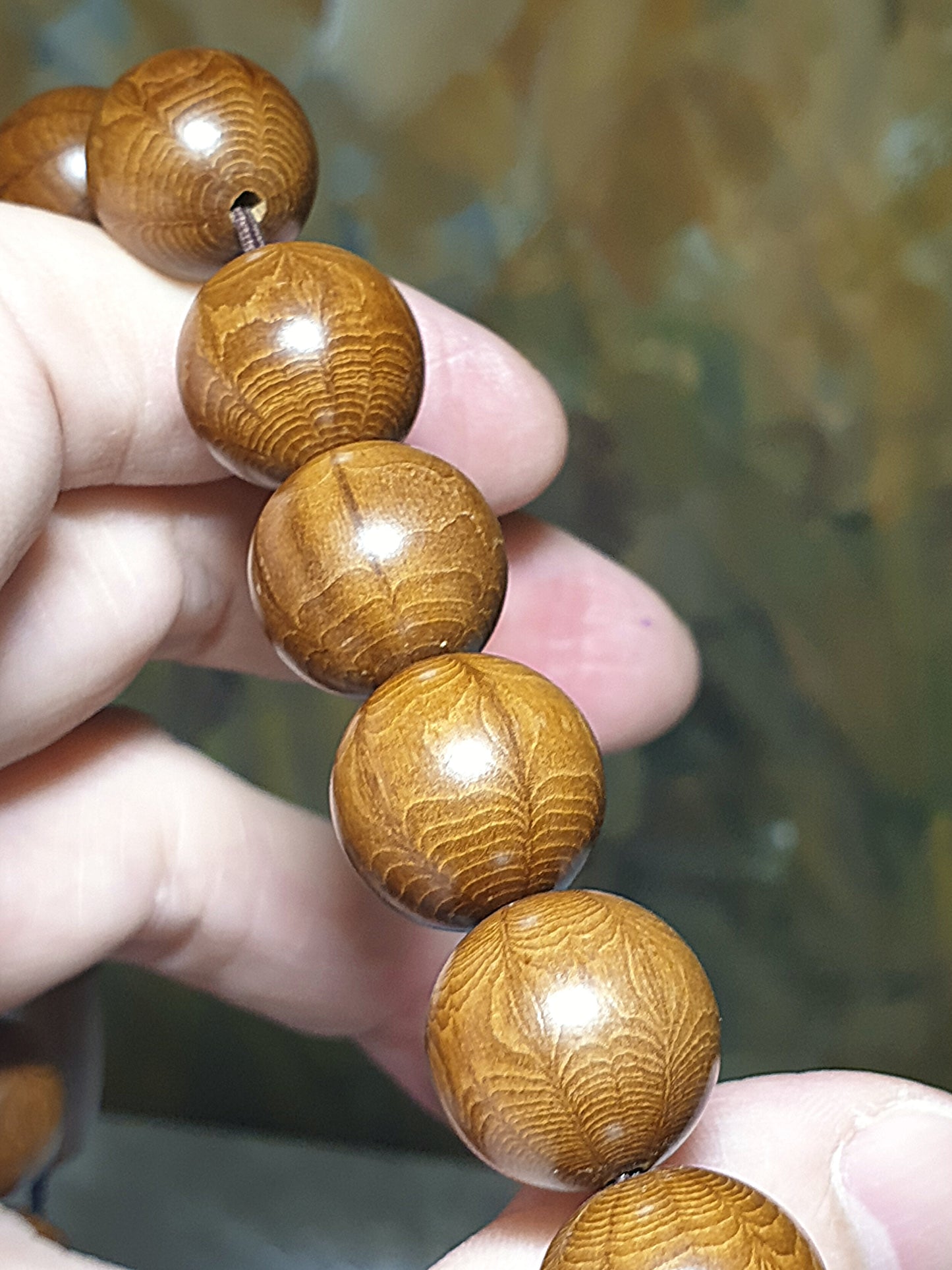 15mm "Liu Dao Mu" (Abelia) 18 beads mala bracelet/handheld 15毫米六道木(降龙木)十八子手串/手持