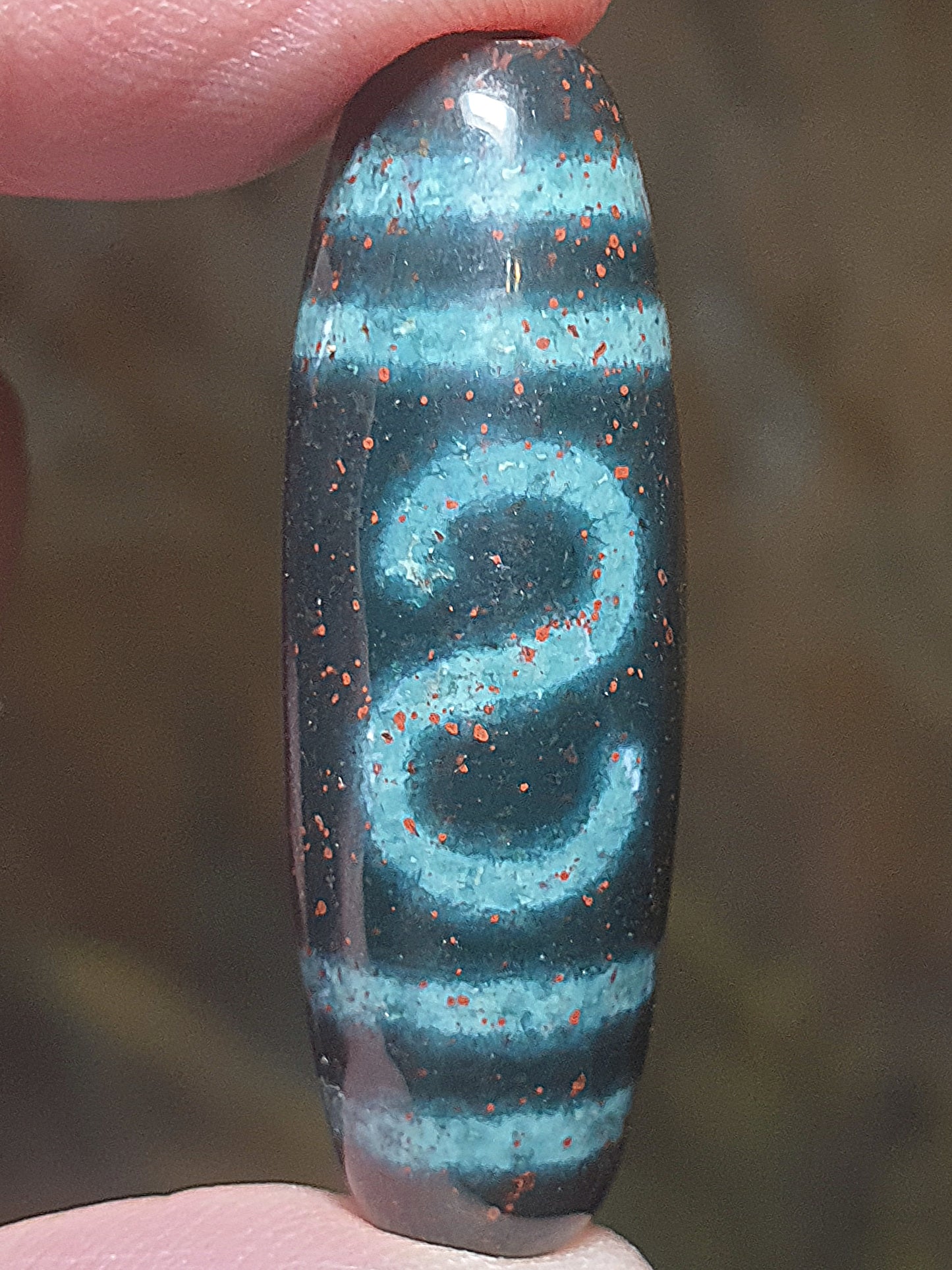 37.2mm Aged Tibetan Xang Xung (Zhang Zhung) Money Hook Dzi full of red spots (with certificate, free necklace cord) 37.2毫米西藏老矿象雄满朱砂财勾天珠(带证书送项链绳)