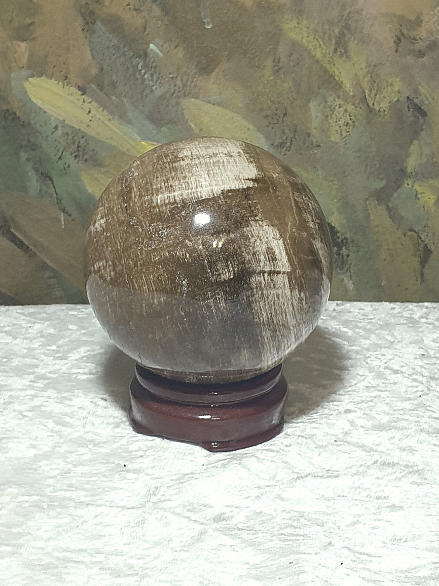 8.5cm Premium Madagascar Petrified wood Fengshui sphere ball 天然马达加斯加木化石风水球摆件 #2