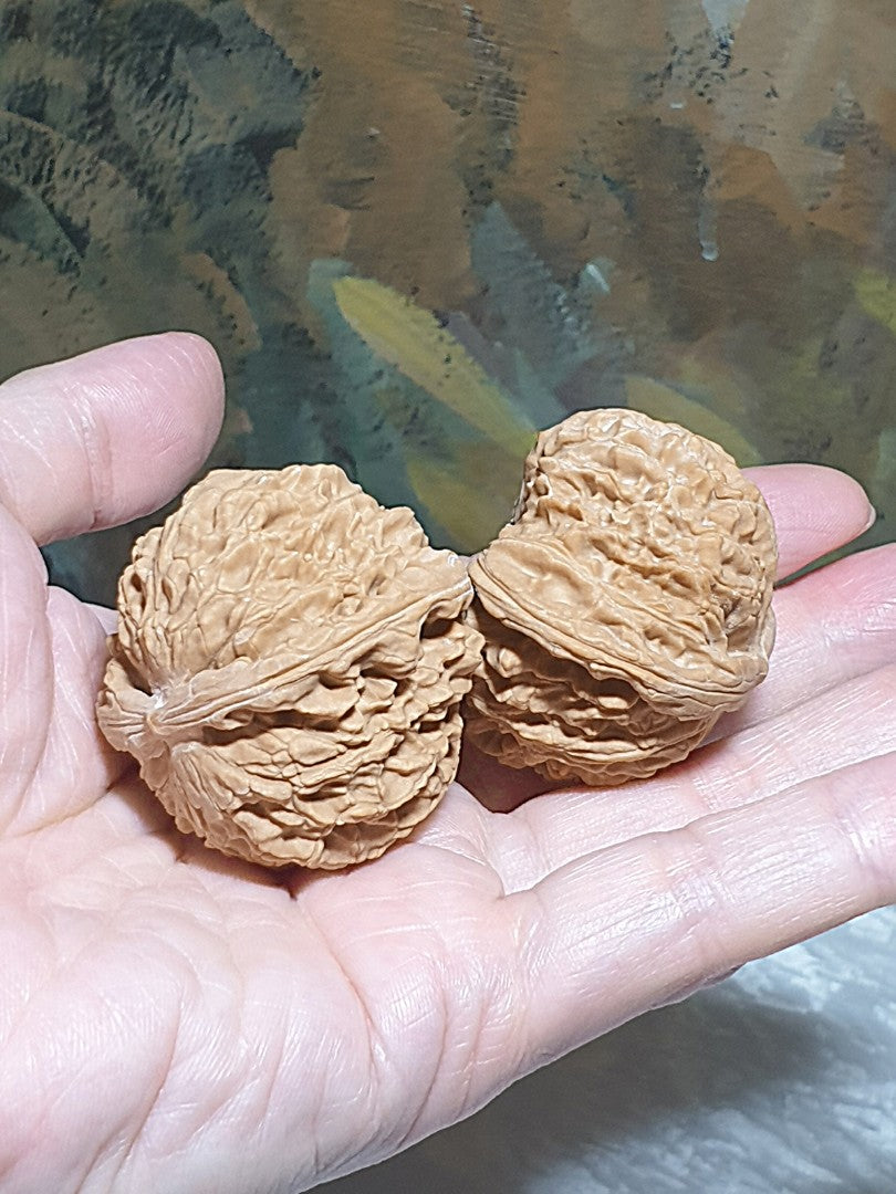 43m natural Beijing "Sizuo Lou" "White Lion Head" Walnuts hand-held/palm messager 43毫米北京四座楼白狮子头闷尖菊花底核桃手把/按摩球一对