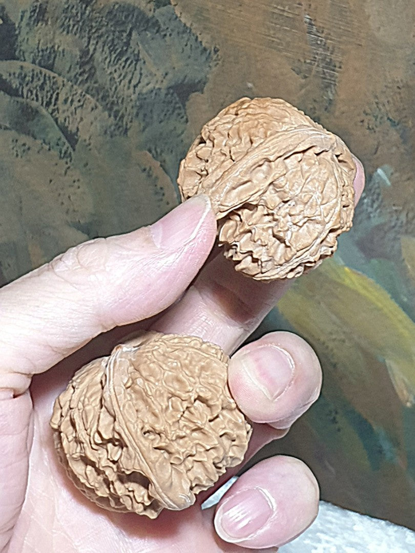 43m natural Beijing "Sizuo Lou" "White Lion Head" Walnuts hand-held/palm messager 43毫米北京四座楼白狮子头闷尖菊花底核桃手把/按摩球一对