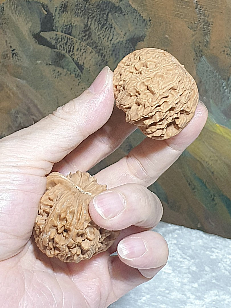 43m natural Beijing "Sizuo Lou" "White Lion Head" Walnuts hand-held/palm messager 43毫米北京四座楼白狮子头闷尖菊花底核桃手把/按摩球一对