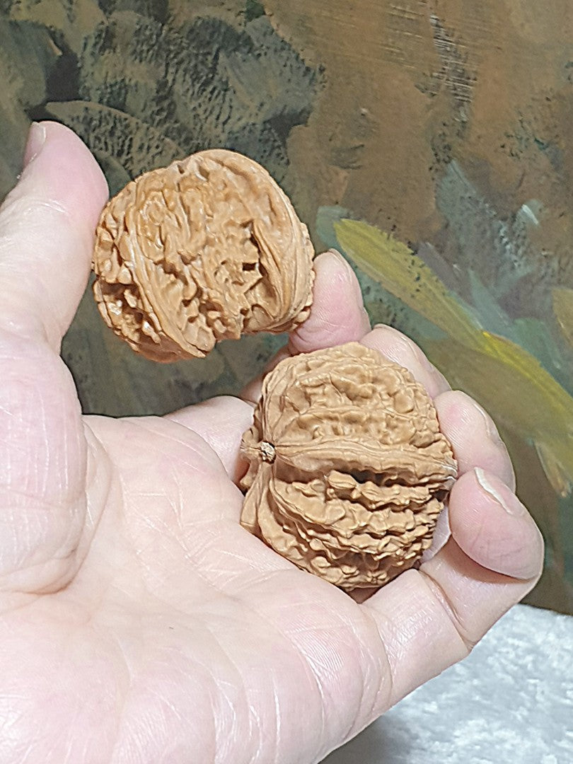 43m natural Beijing "Sizuo Lou" "White Lion Head" Walnuts hand-held/palm messager 43毫米北京四座楼白狮子头闷尖菊花底核桃手把/按摩球一对