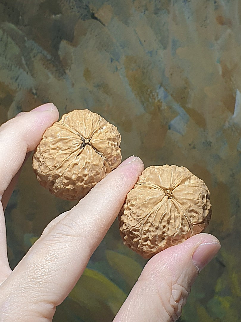 38mm natural Beijing double sides "Toad Head" Walnuts hand-held/palm messager with clear toad back features 38毫米双面蛤蟆头金蟾核桃手把/按摩球一对