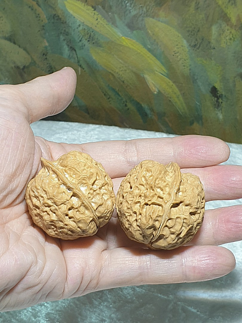 38mm natural Beijing double sides "Toad Head" Walnuts hand-held/palm messager with clear toad back features 38毫米双面蛤蟆头金蟾核桃手把/按摩球一对