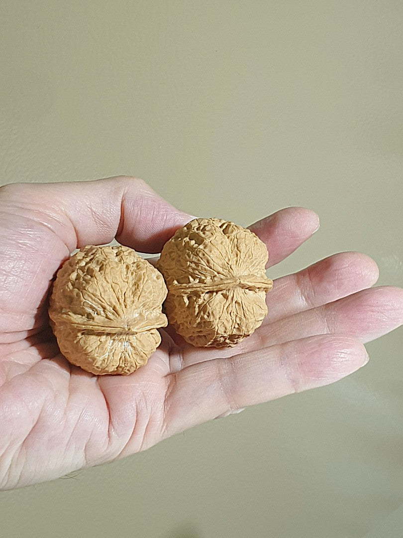 38mm natural Beijing double sides "Toad Head" Walnuts hand-held/palm messager with clear toad back features 38毫米双面蛤蟆头金蟾核桃手把/按摩球一对