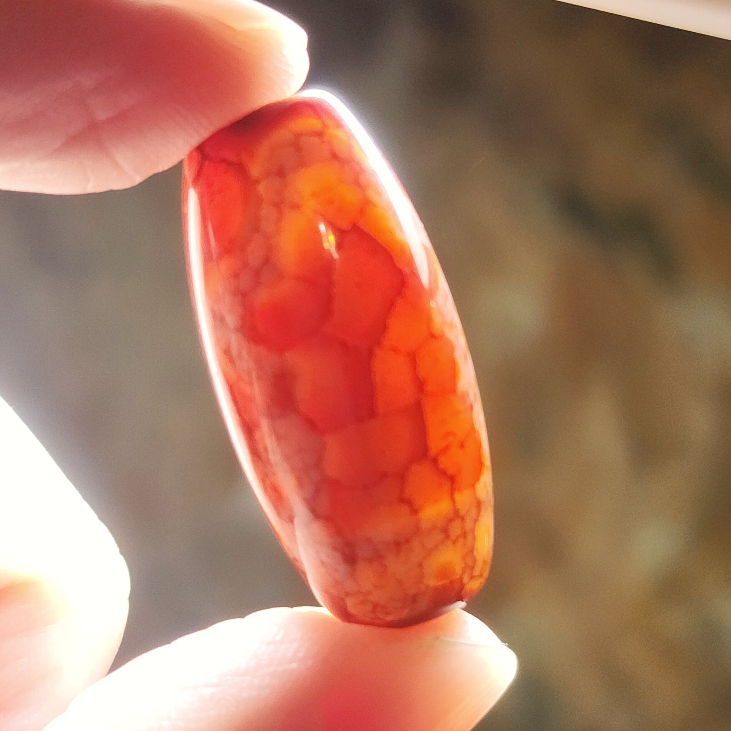 Aged Tibetan Red Chalcedony with "Blood Streak" Guan Yin 2 Eyes Dzi pendant (with certificate, free necklace string) 西藏老矿红玉髓“血丝”兩眼观音天珠(带证书 送项链绳)