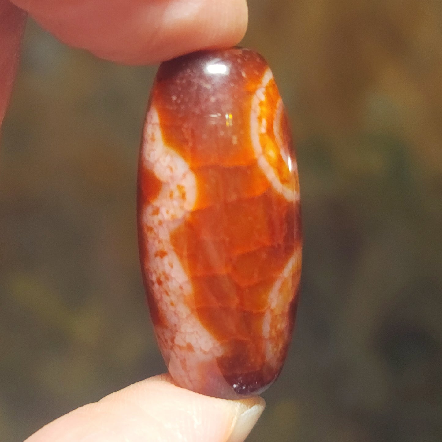Aged Tibetan Red Chalcedony with "Blood Streak" Guan Yin 2 Eyes Dzi pendant (with certificate, free necklace string) 西藏老矿红玉髓“血丝”兩眼观音天珠(带证书 送项链绳)