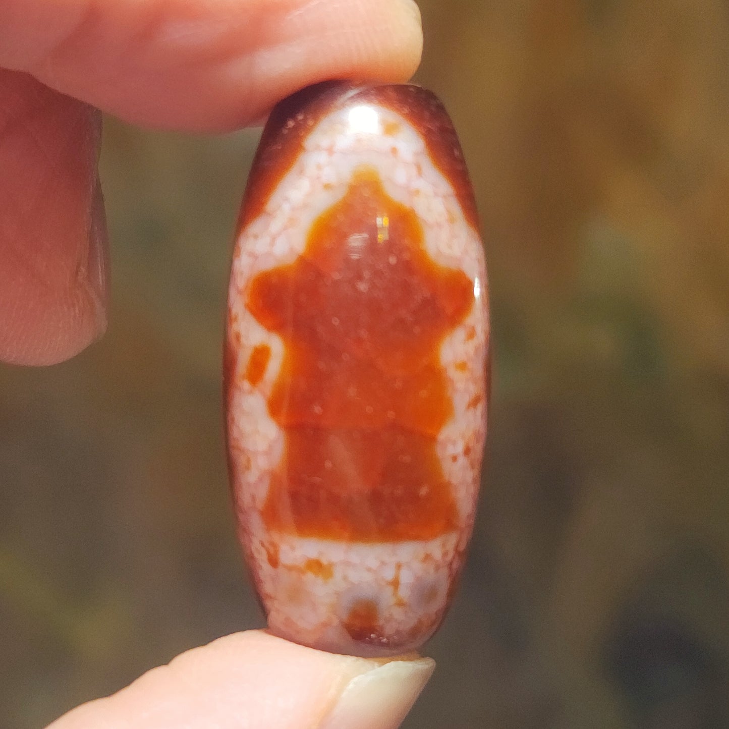 Aged Tibetan Red Chalcedony with "Blood Streak" Guan Yin 2 Eyes Dzi pendant (with certificate, free necklace string) 西藏老矿红玉髓“血丝”兩眼观音天珠(带证书 送项链绳)