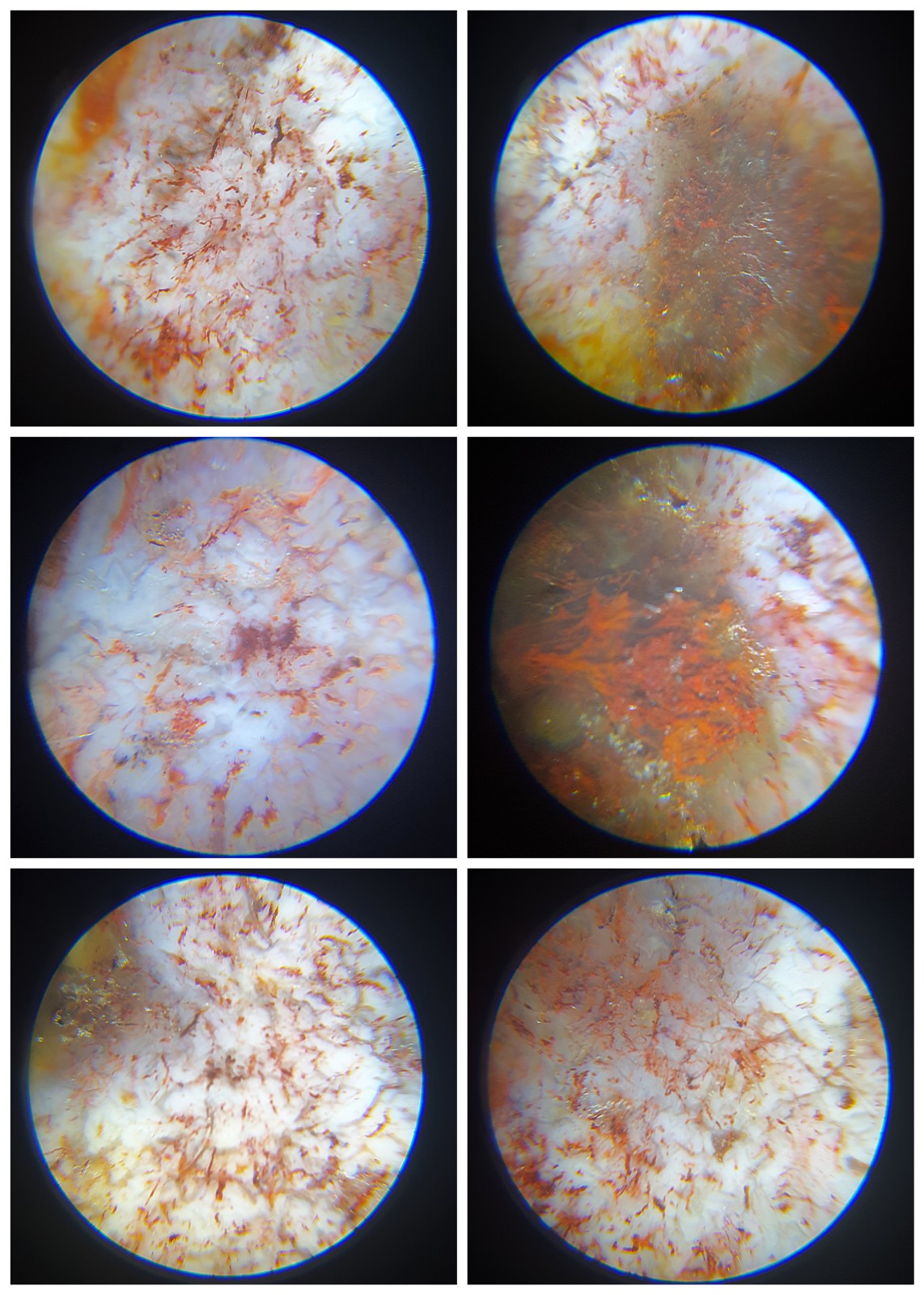 57.5mm aged Tibetan Xang Xung (Zhang Zhung) Tortoise Shell 9 Eyes Dzi with red spots (with certificate) 57.5毫米西藏老矿象雄满朱砂龟背九眼天珠(带证书)