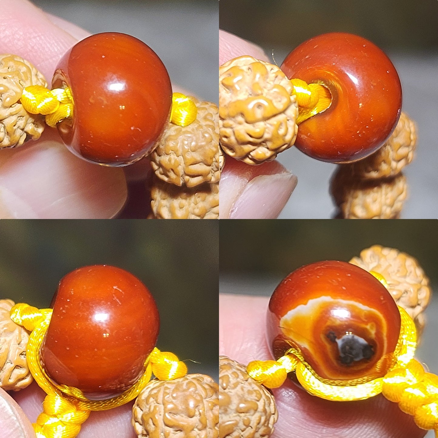 [Sold] Gegegems Creation 9.2mm 6 Mukhi (Faces) high density high oil content "Tree King" "Full Body" Rudraksha 108 necklace with a 13.5mm The Warring States Sardonyx Lu Lu Tong & 3 Waxi Nan Hong traditional old style beads 高油六瓣树王铁籽爆肉小金刚菩提108项链配战国红瓦西南红