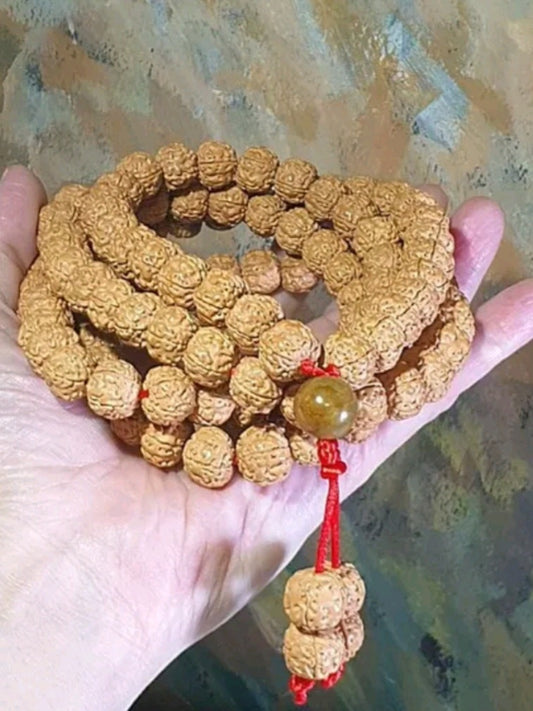 Rare XL 13mm "ginger yellow" 5 Mukhi (Faces) "Double-Dragon Panlong" small species Rudraksha 108 mala beads/necklace/handheld 罕见大尺寸13毫米姜黄皮五瓣双龙盘龙小金刚菩提超大108念珠/项链/手持