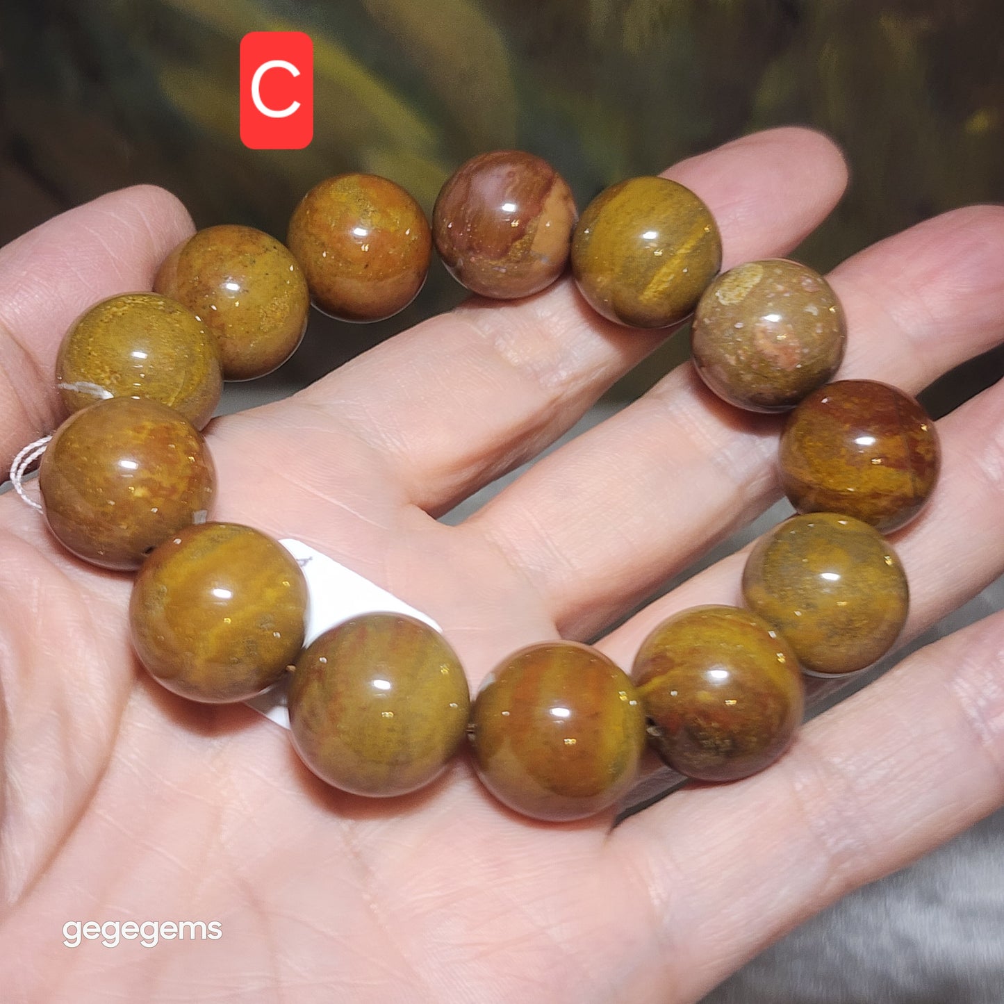 Set of two 16mm Premium Madagascar Petrified Wood brownish yellowish bracelet [Natural Crystal]